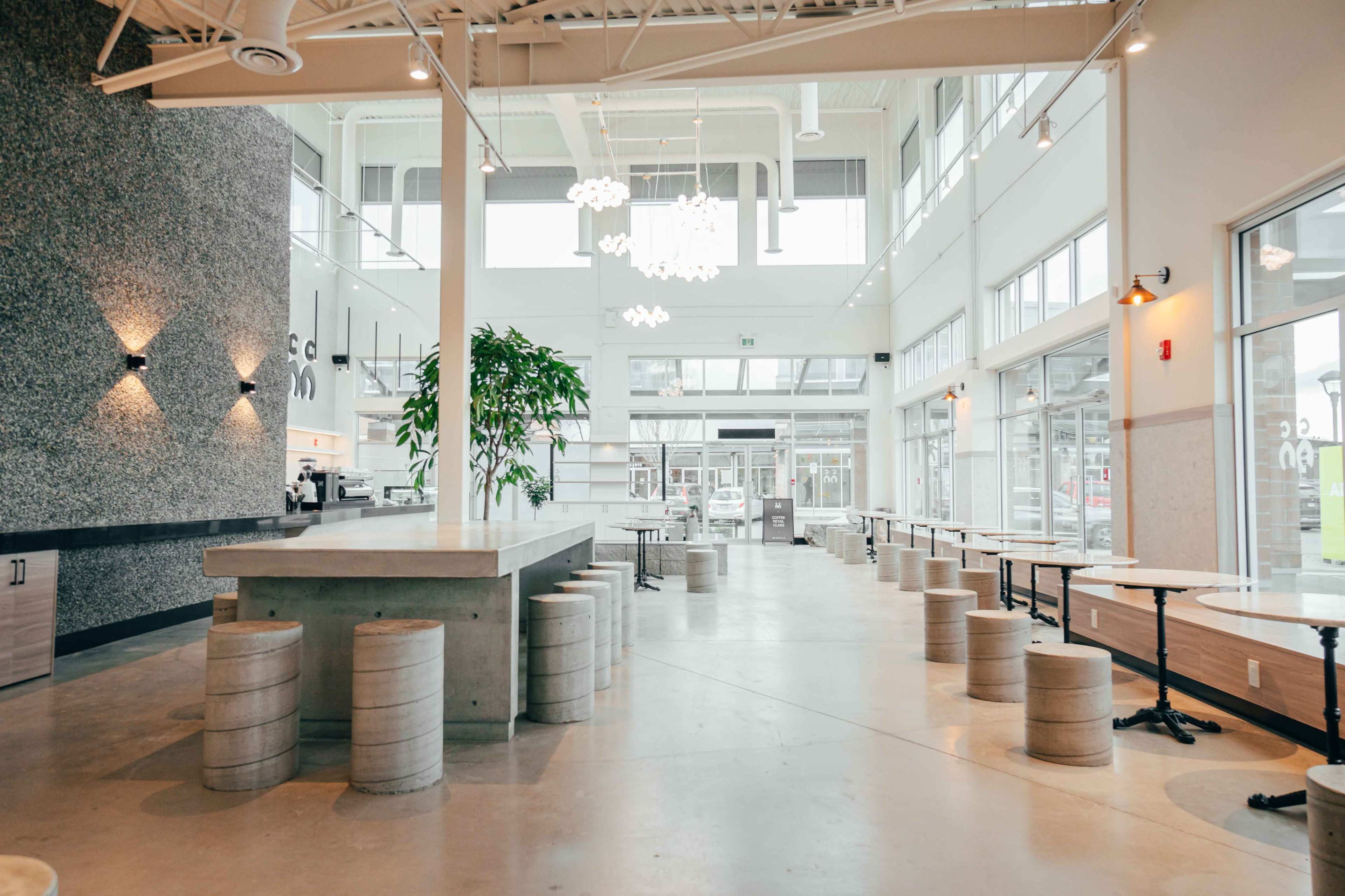 A modern café with large windows, concrete seating, and a minimalist design featuring a central bar area and potted plants.