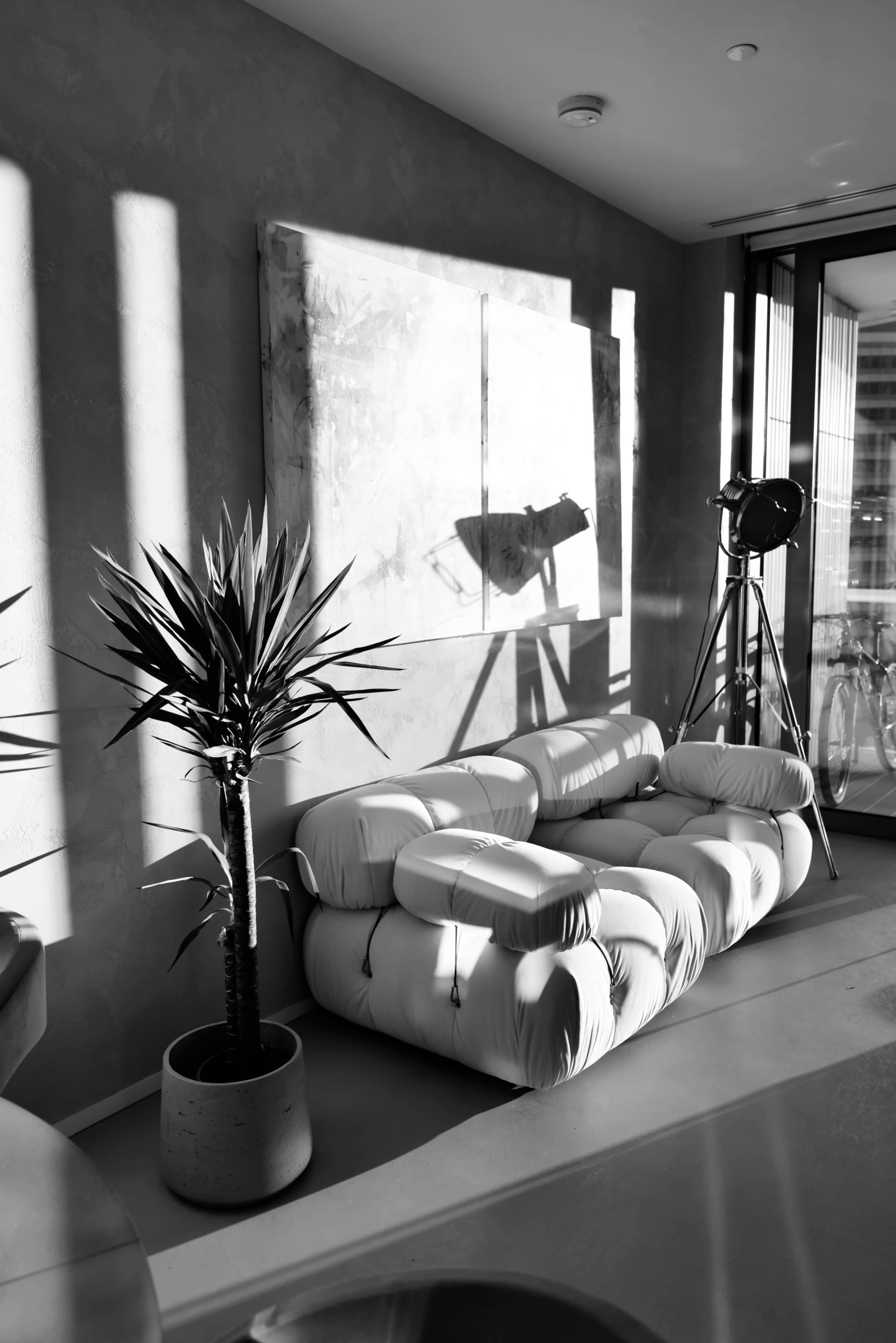 A light-filled modern living room features a white couch, a potted plant, and a vintage floor lamp casting shadows on the wall.