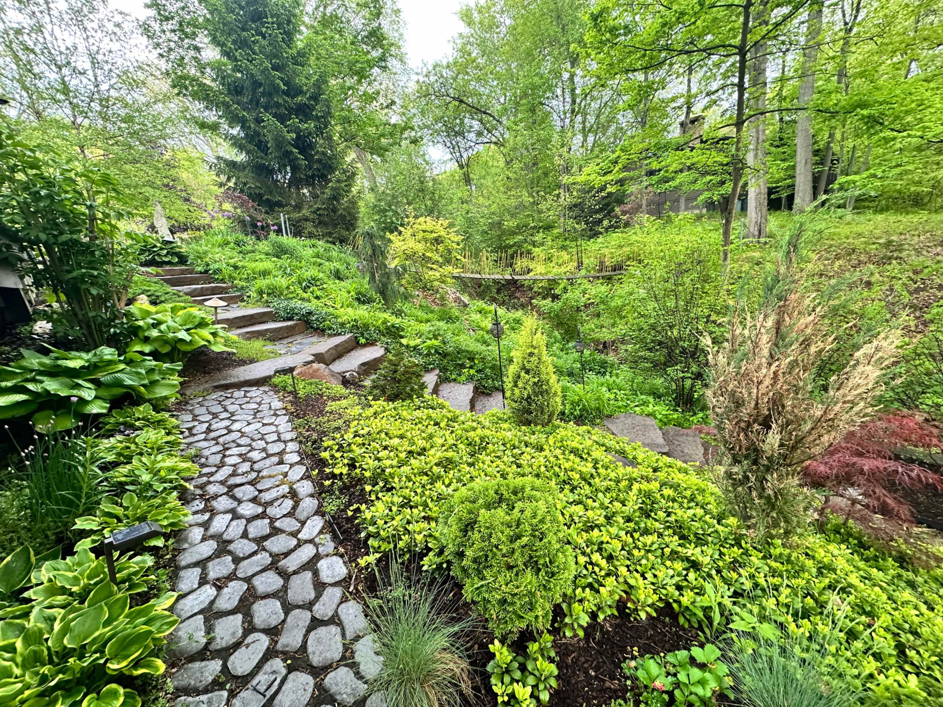 A winding stone pathway leads through a lush garden filled with various greenery and trees.