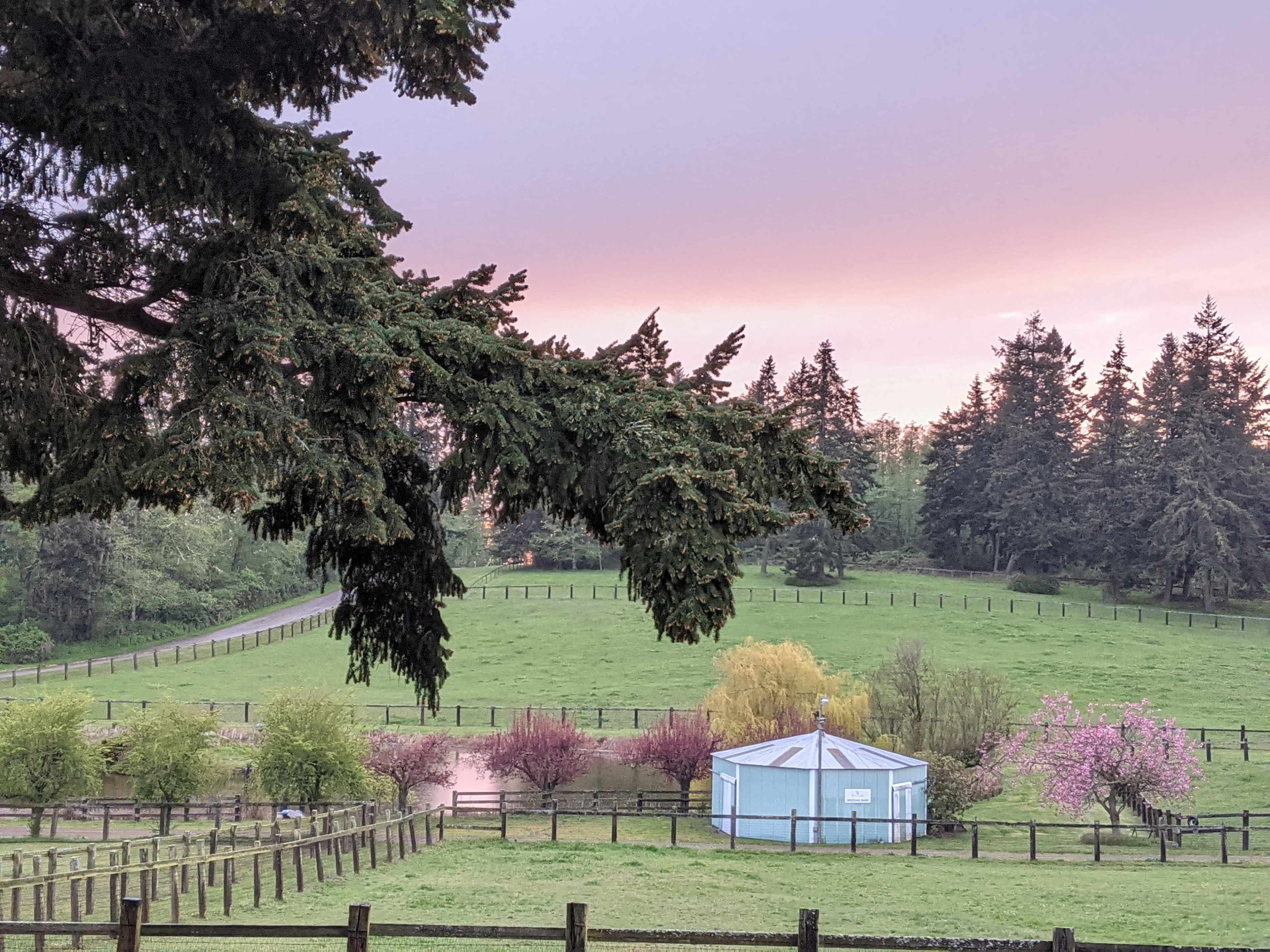 A round, blue structure is situated in a grassy field surrounded by trees and a fence, with a soft gradient sky in the background.