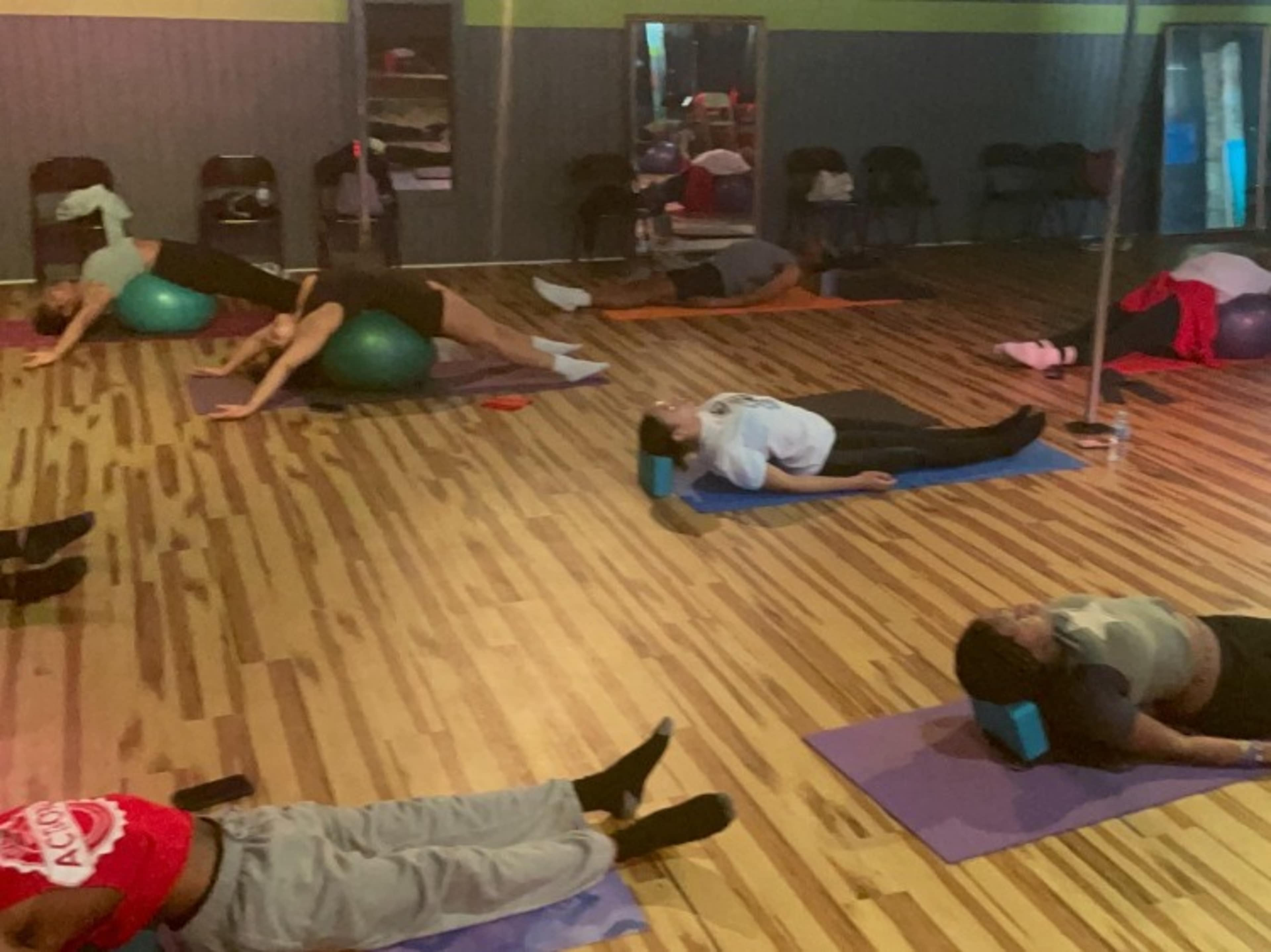  Movement & Wellness