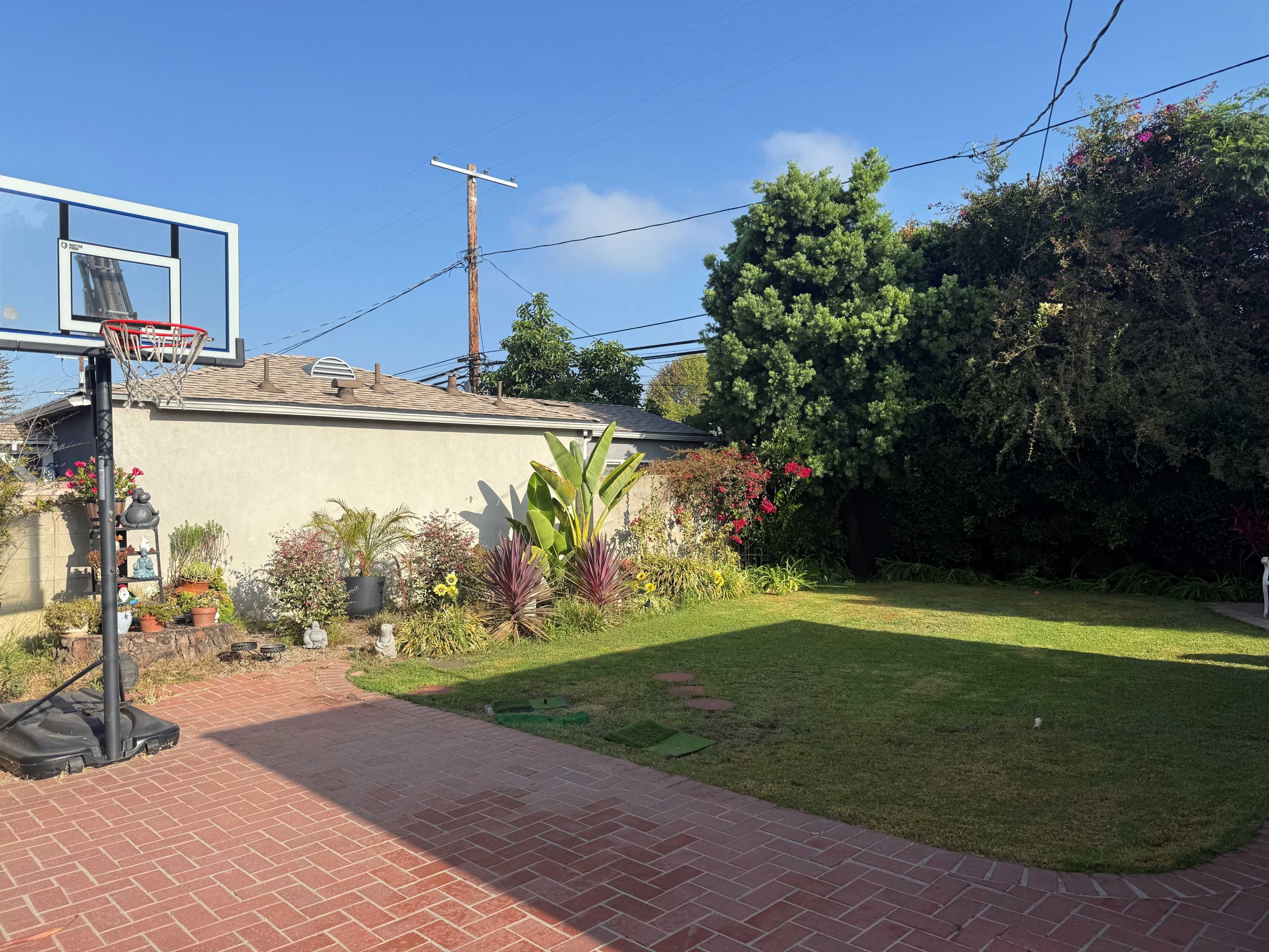 The image shows a backyard with a basketball hoop, green lawn, and various plants and flowers.