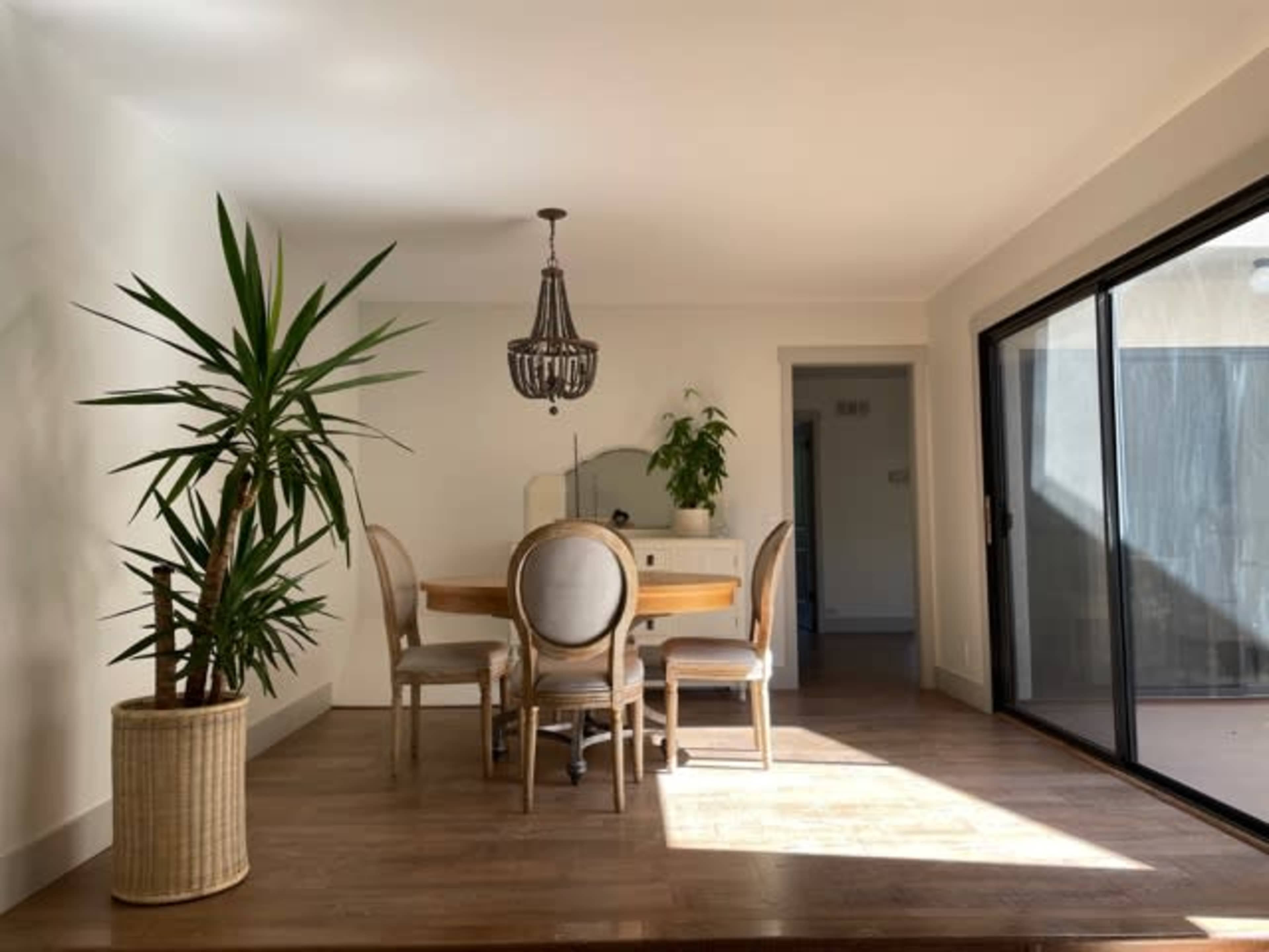 A dining area features a wooden table surrounded by four chairs, a large window, and potted plants in the corners.