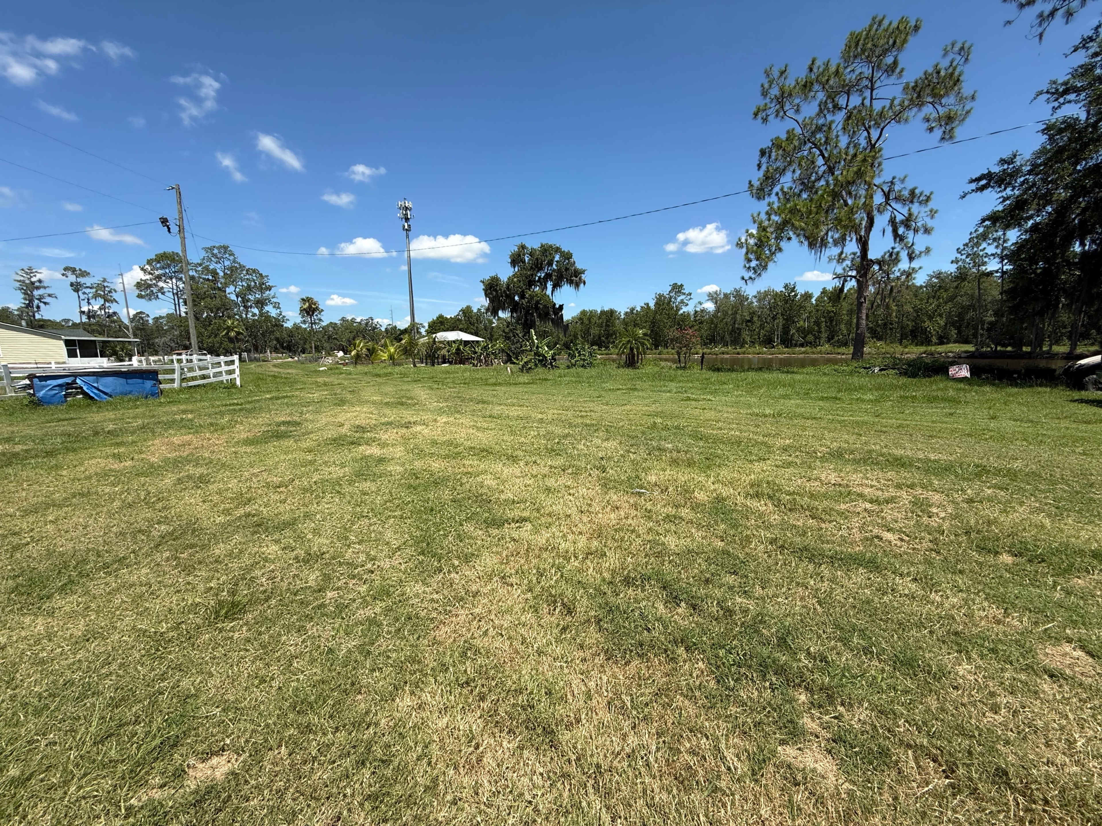The image shows a large, grassy field under a clear blue sky with a few trees and utility poles in the background.