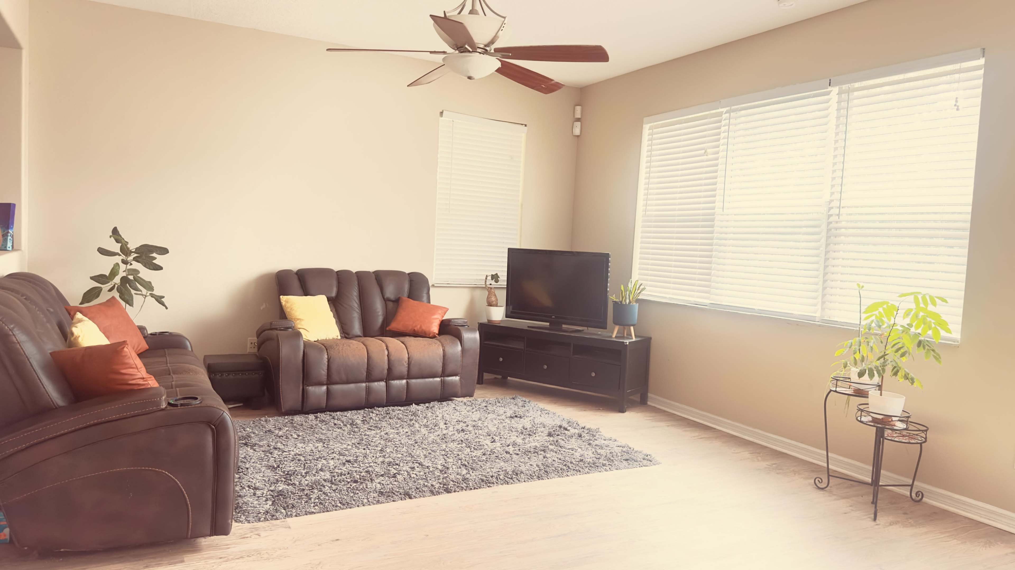 The image shows a living room with two dark leather recliners, a television on a stand, and a small plant on a table beside a window with blinds.