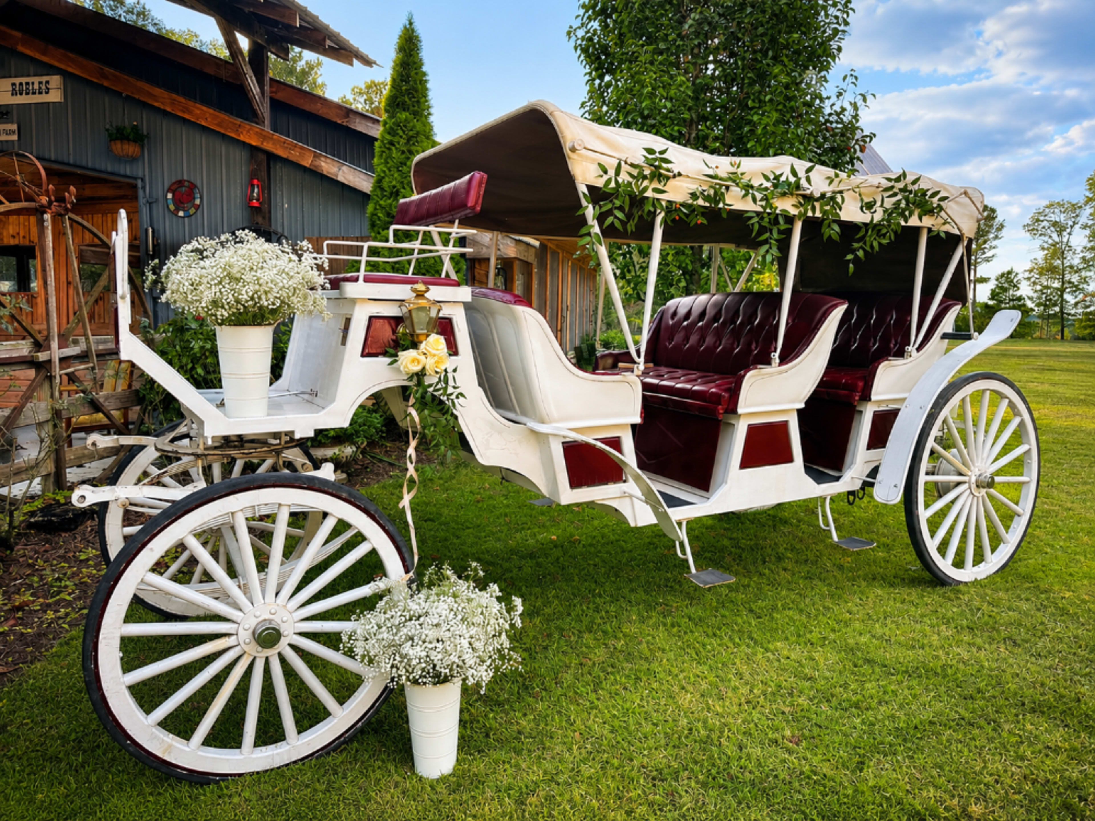 Vintage Carriage Display