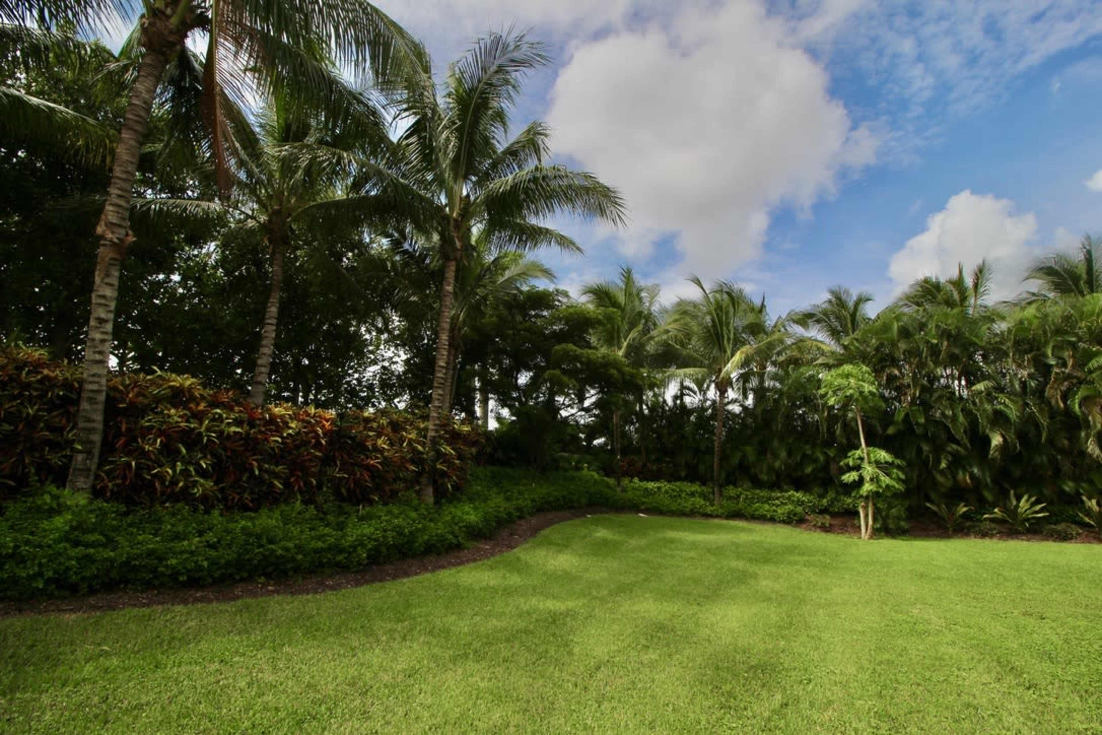 The scene shows a lush green lawn surrounded by tropical palm trees and bushes under a partly cloudy sky.