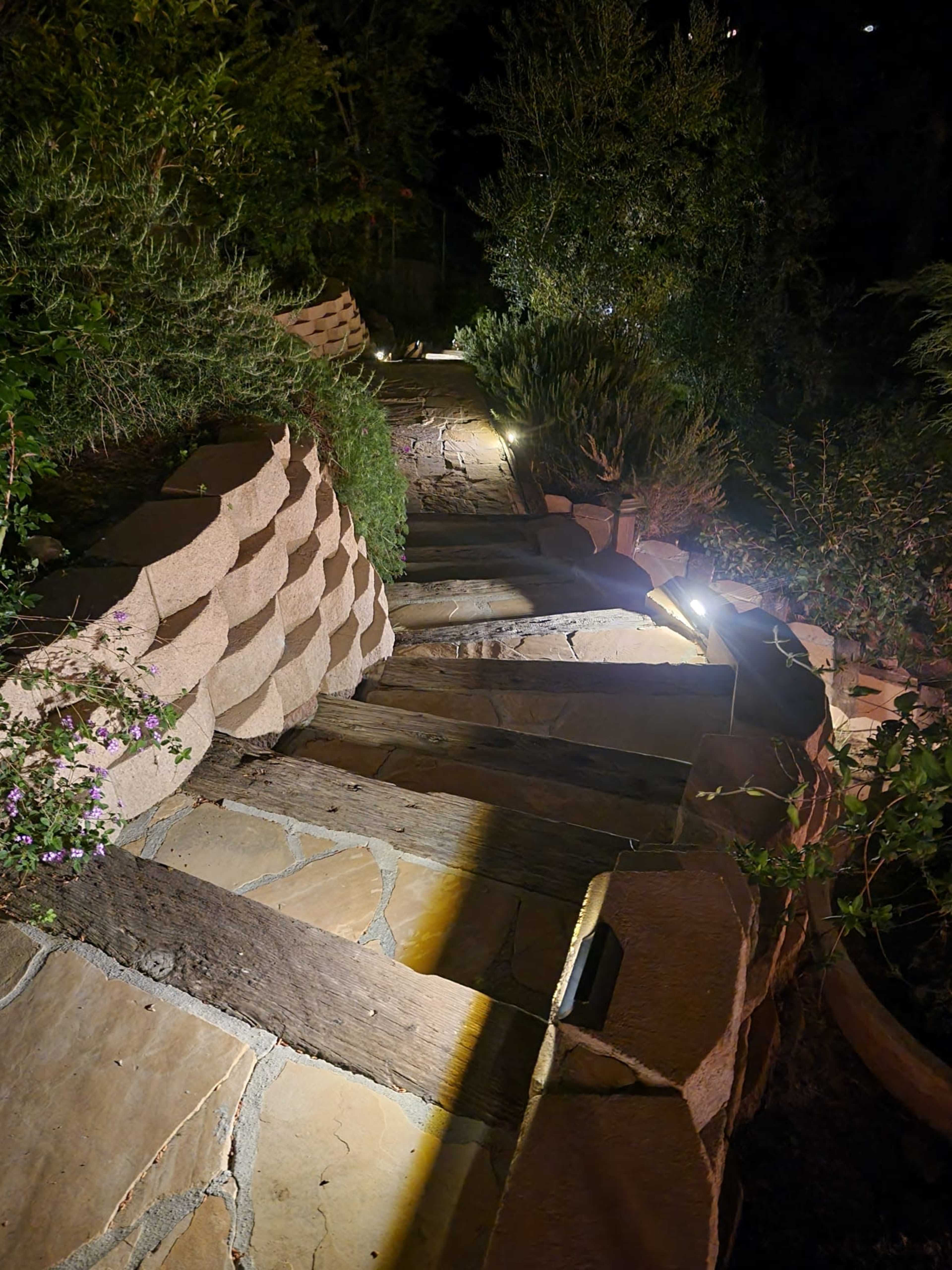 The image shows a stone pathway illuminated by lights, winding down through a garden at night.