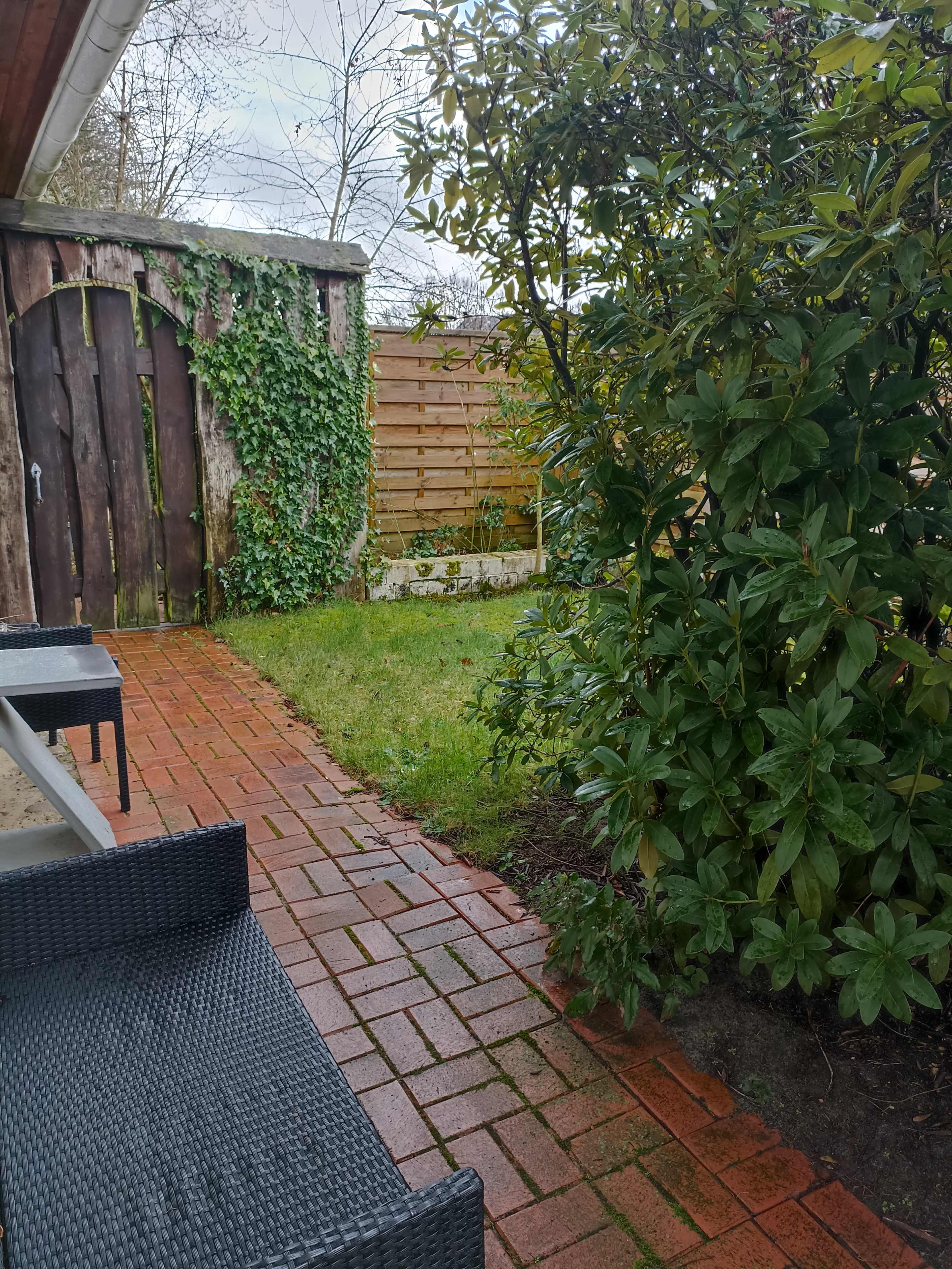A brick pathway leads to a green lawn surrounded by shrubs and a wooden gate partially covered with ivy.