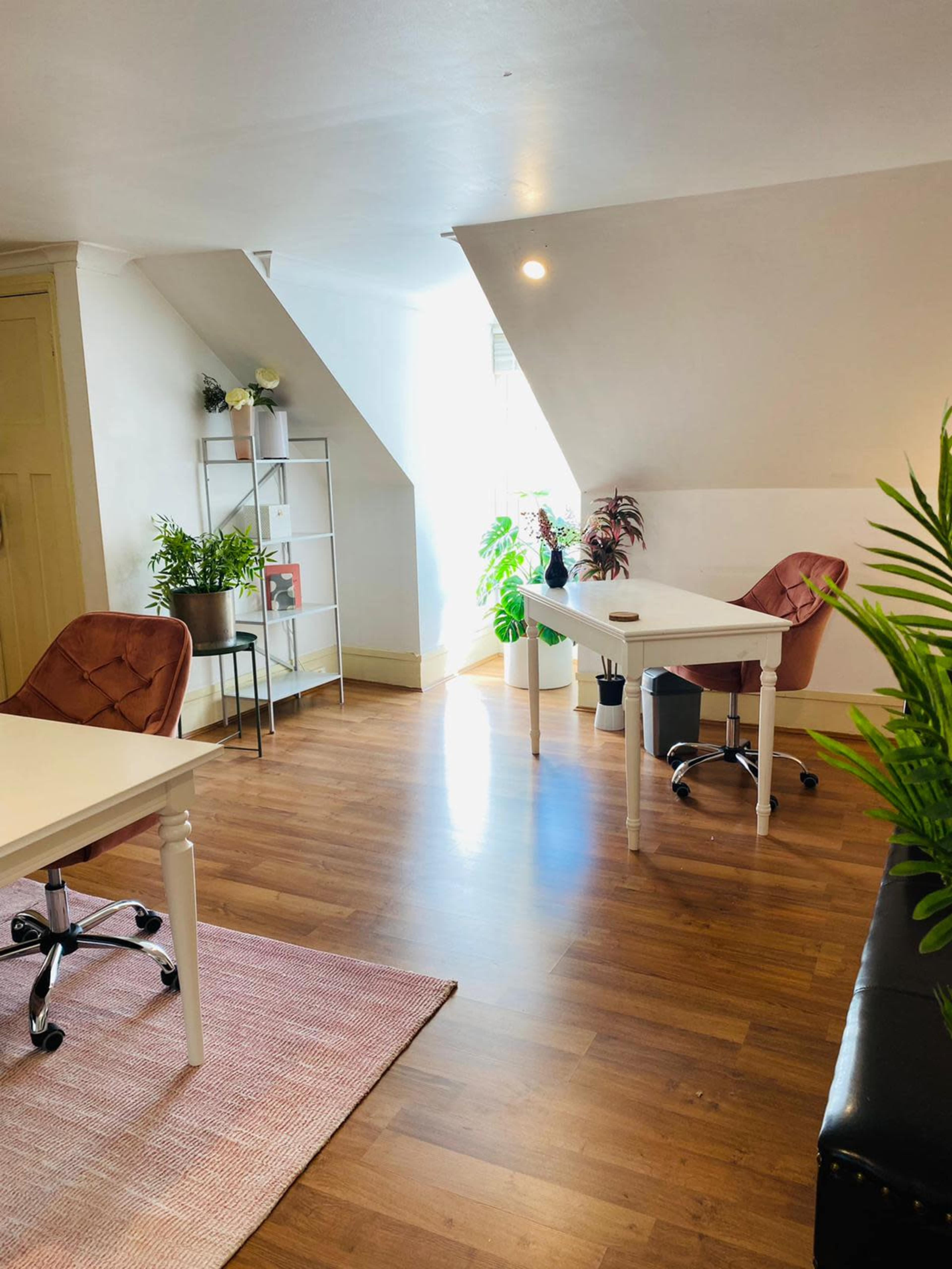 A well-lit office space with two desks, chairs, plants, and a bookshelf arranged neatly.