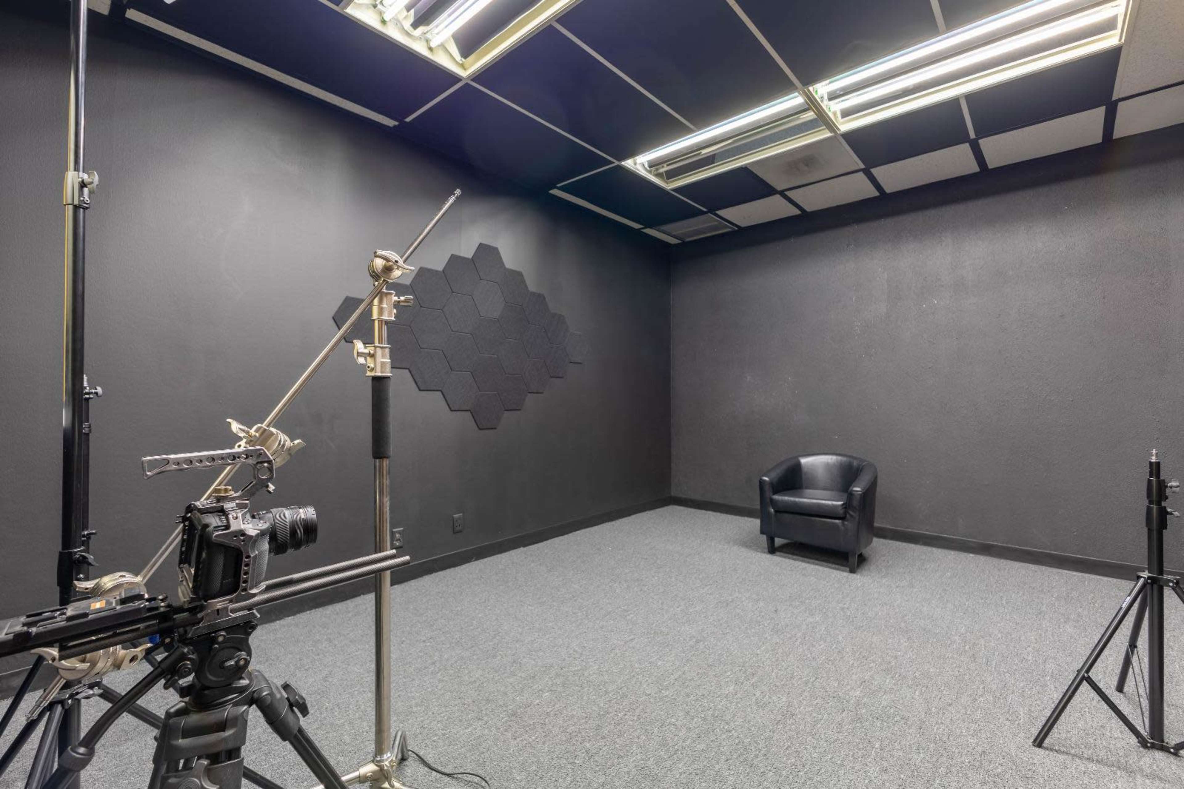 unique BLACKOUT / VIBRANT contrast photo studio in Bellaire Image in Westside, Houston, TX
