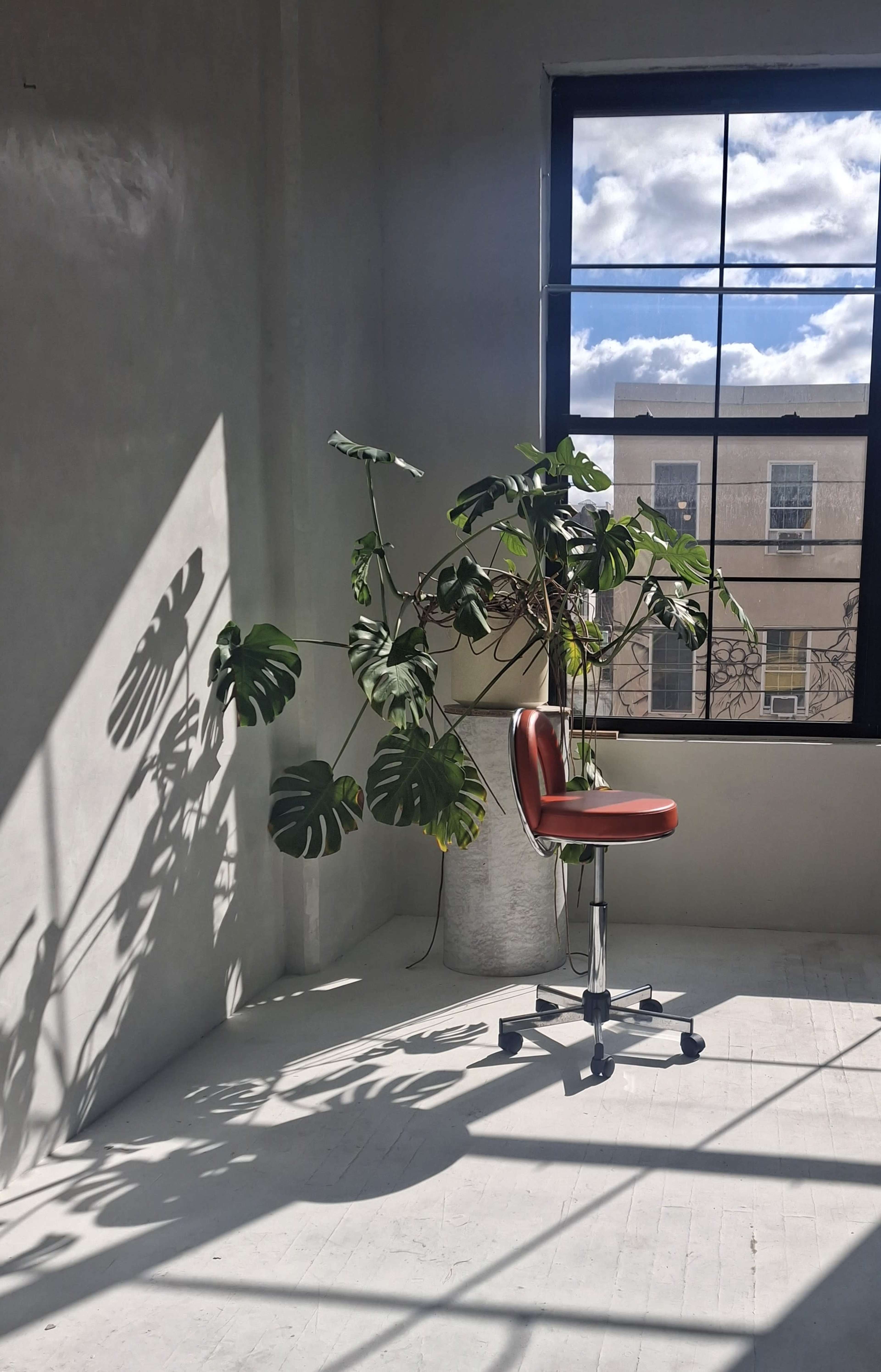 Sun Soaked Matchbox Photography Studio Image in Long Island City, Long Island City, NY