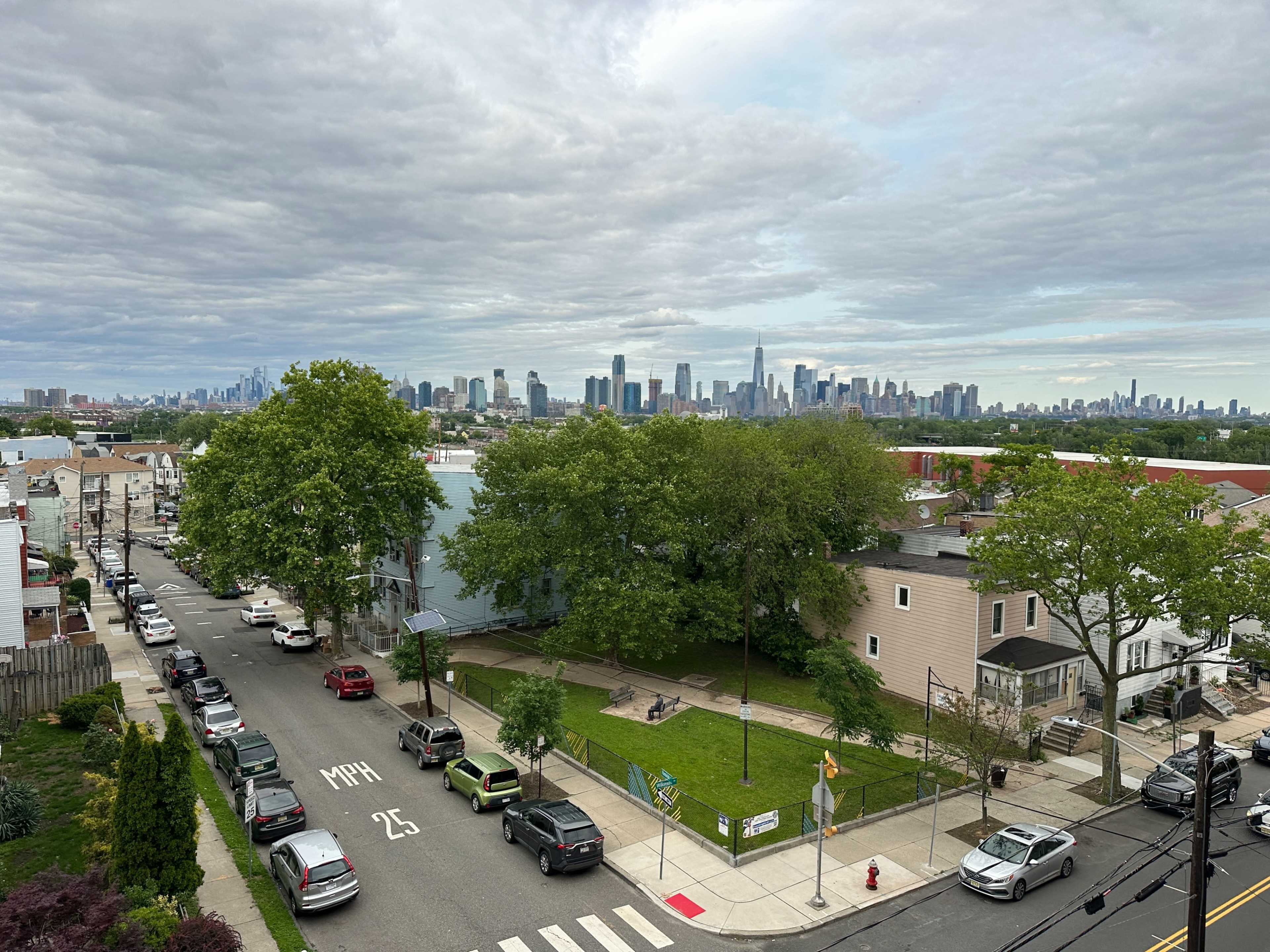 The image shows a city skyline in the distance with several green trees in the foreground, residential buildings, and cars parked along the street.