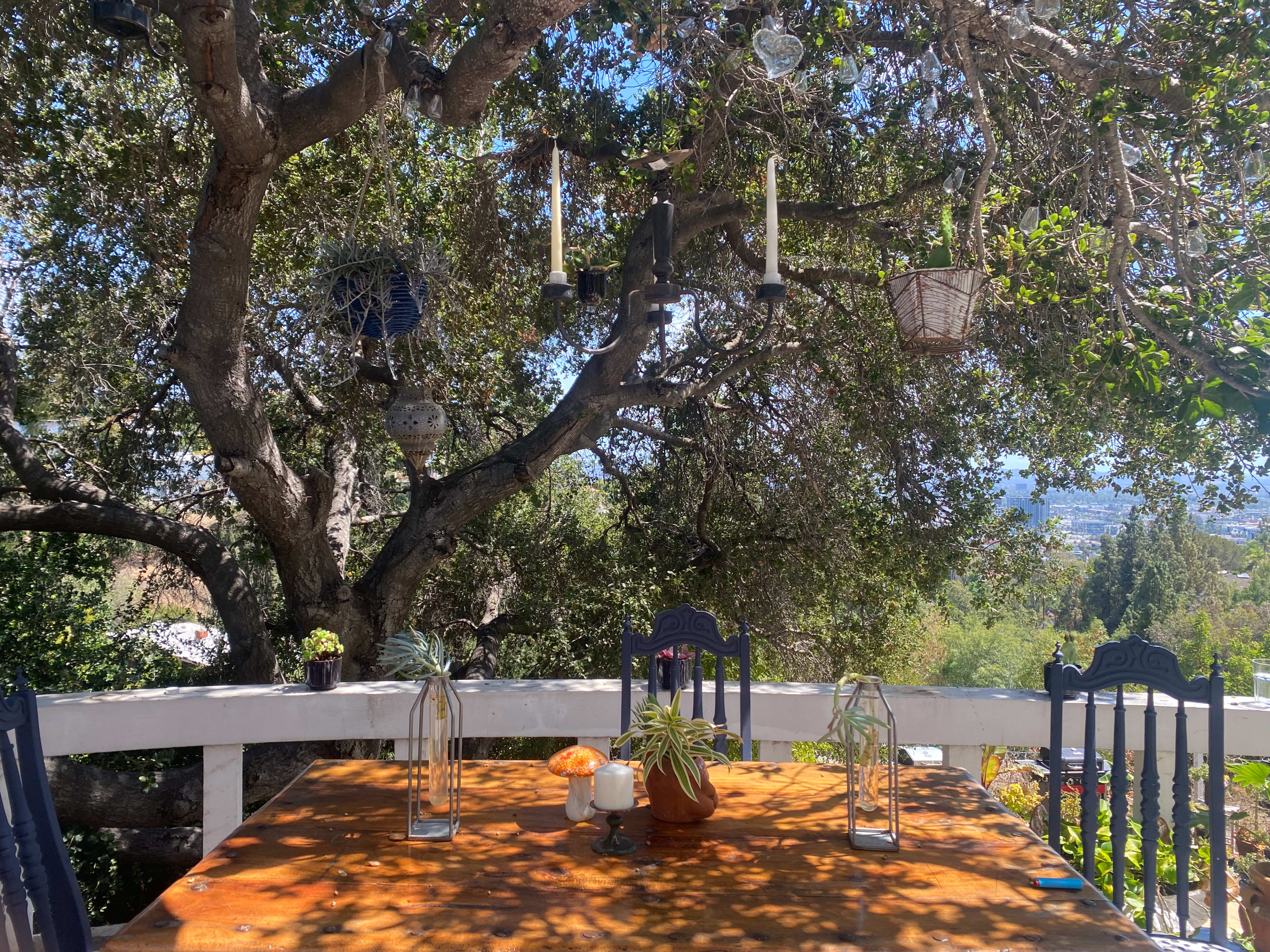 A wooden table with decorative items is set under a large tree with hanging lanterns and plants, overlooking a distant landscape.