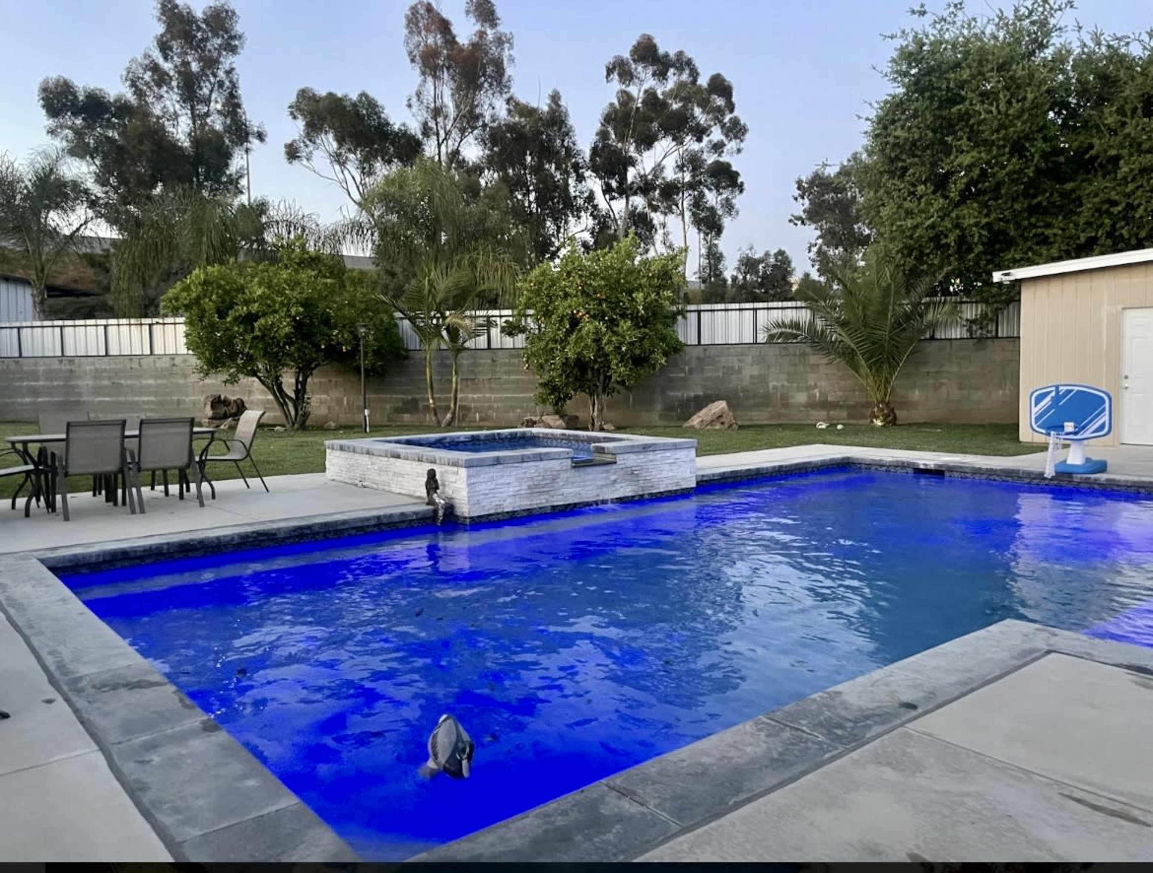 A backyard swimming pool with blue lighting, surrounded by seating and landscaping, including trees and a shed.