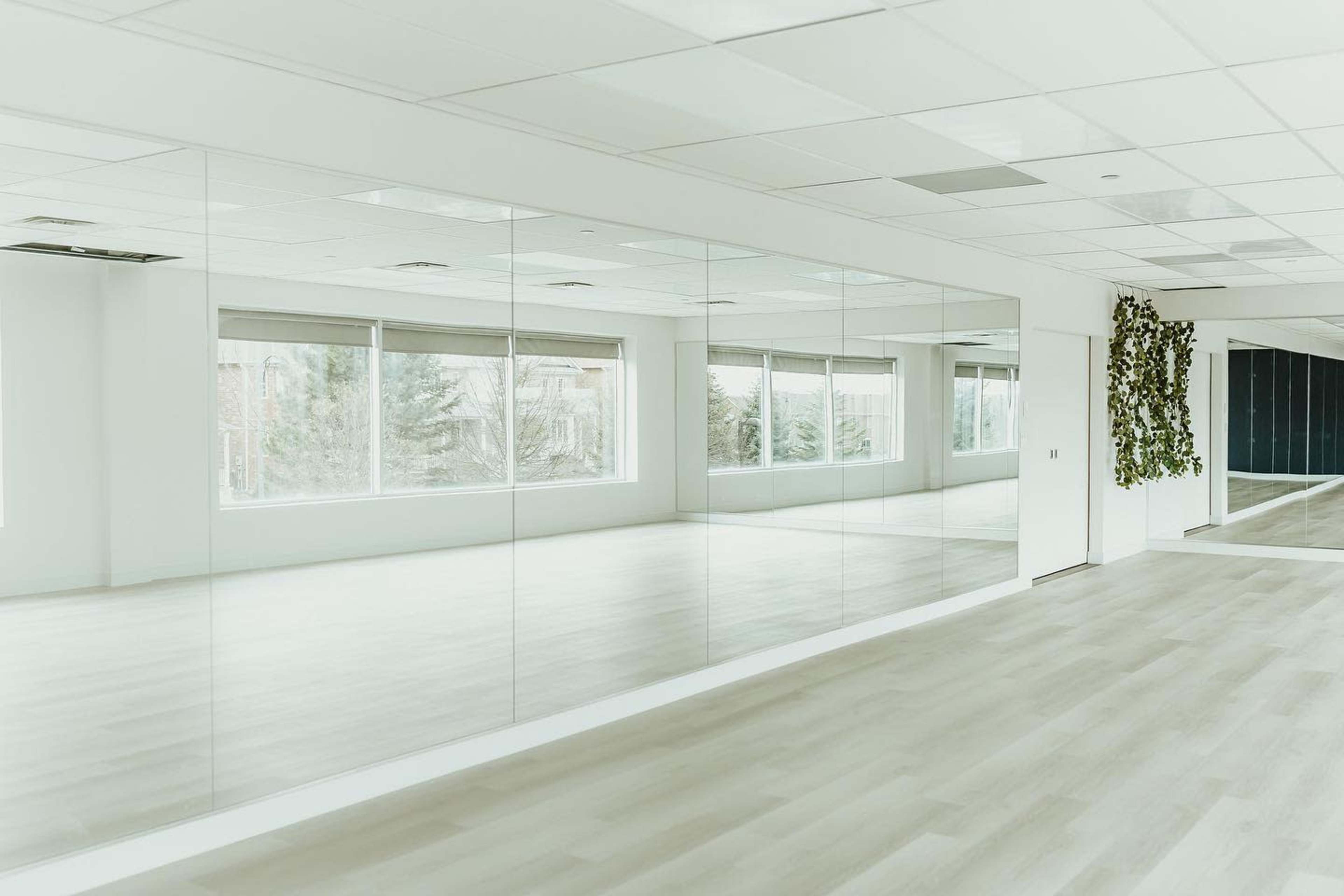 A bright, empty room with large windows, mirrored walls, and a green plant feature.