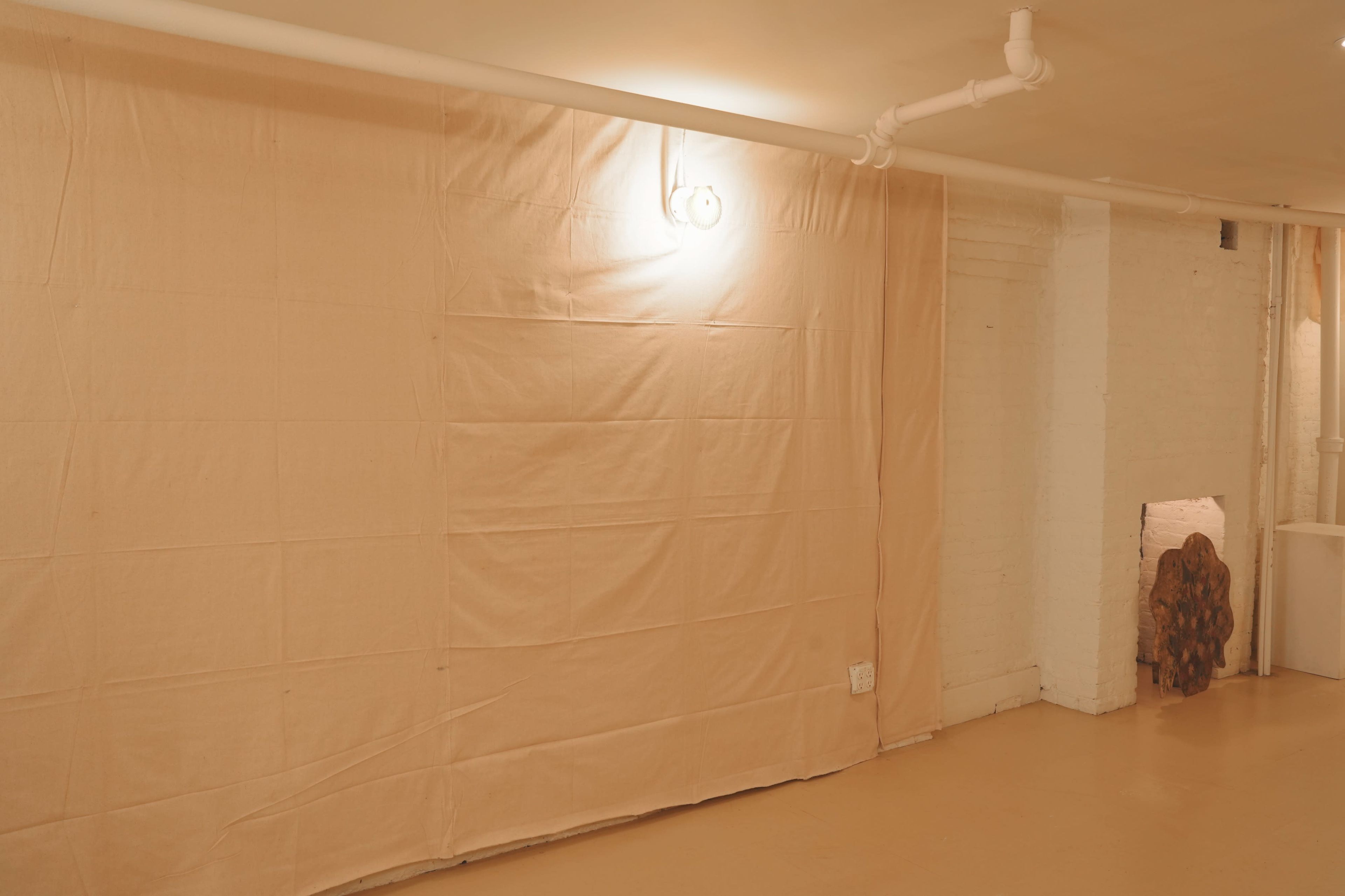 Street-Level White Box Storefront / Event Space in Lower East Side Image in Lower East Side, New York, NY