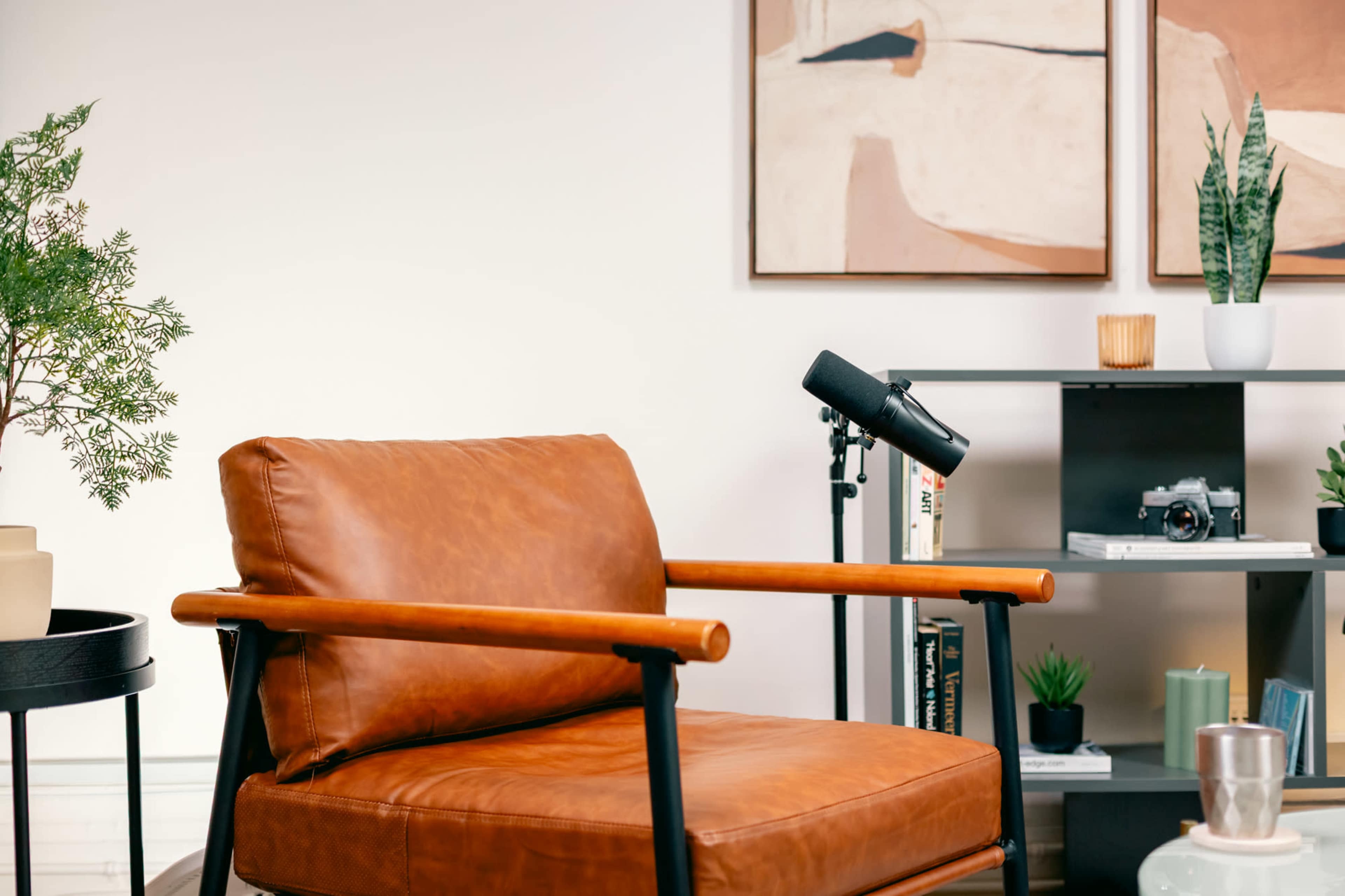 A brown leather chair is positioned beside a black bookshelf, which contains potted plants and a microphone on a stand.