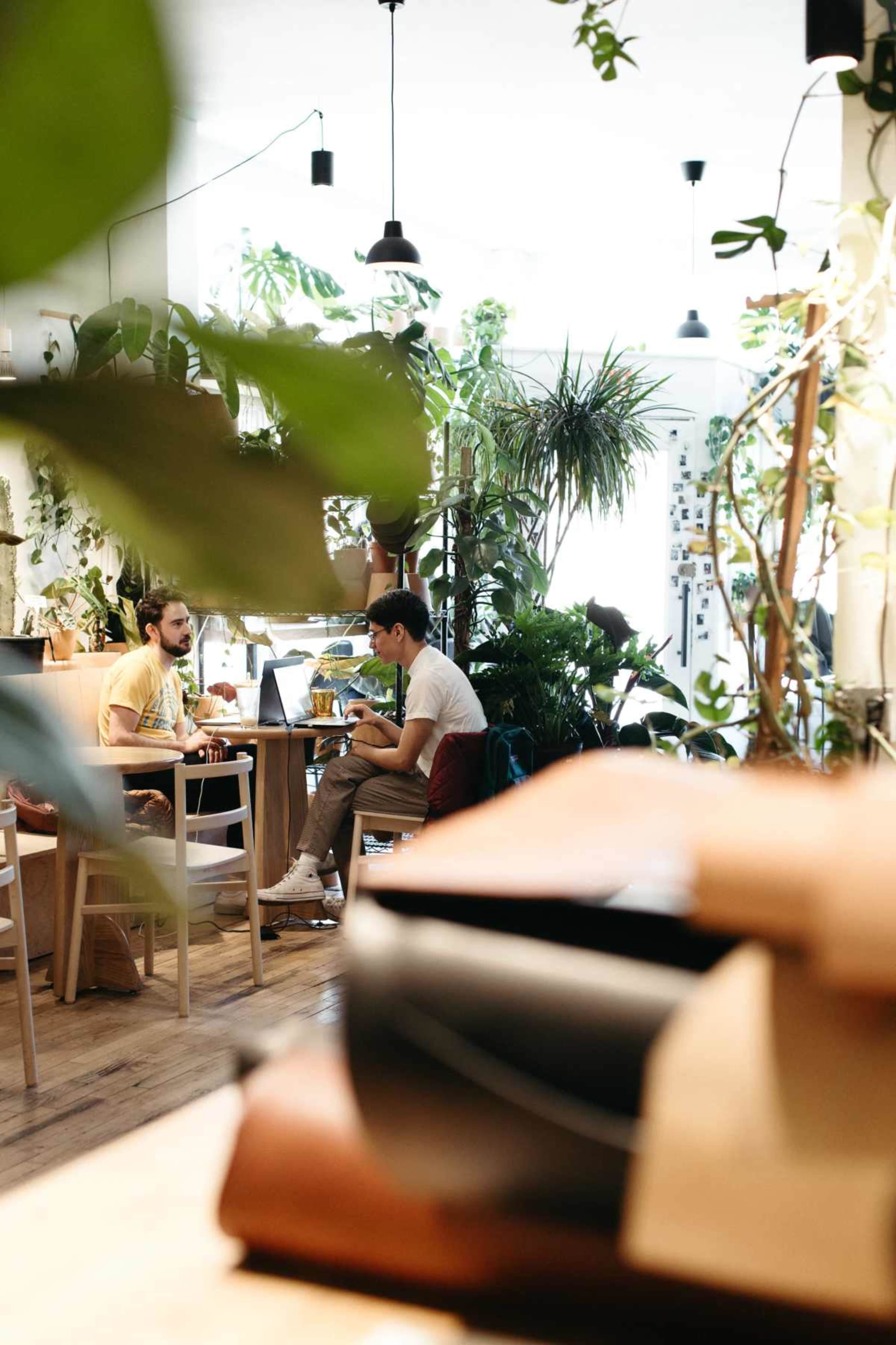 Two people sit at a table in a plant-filled café, engaged in conversation while using a laptop.