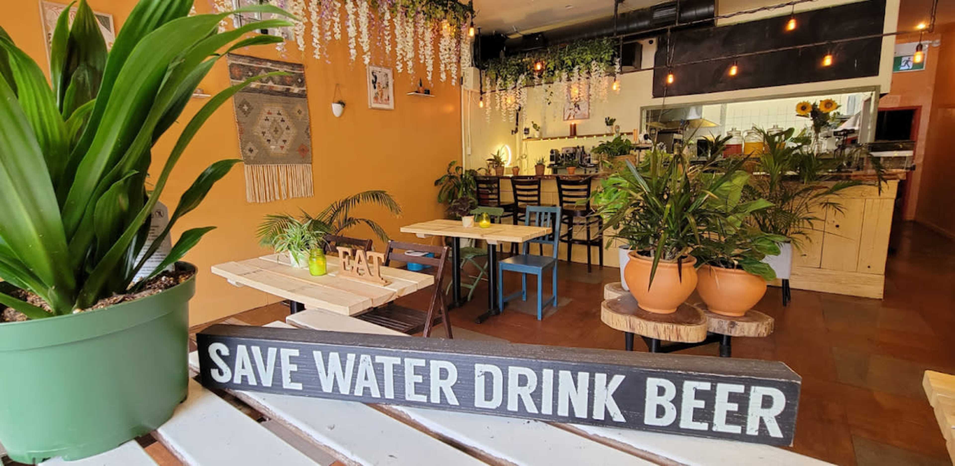 A cozy café interior features tables surrounded by greenery and a playful sign reading "SAVE WATER DRINK BEER."