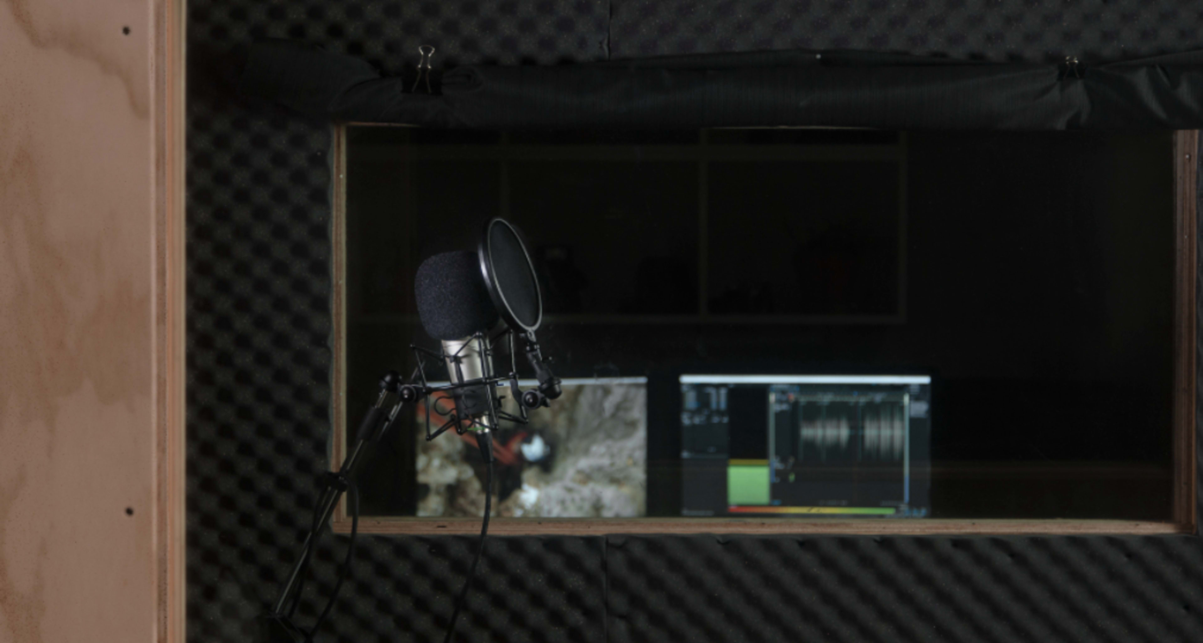 A microphone in a soundproof booth with a computer displaying audio editing software.