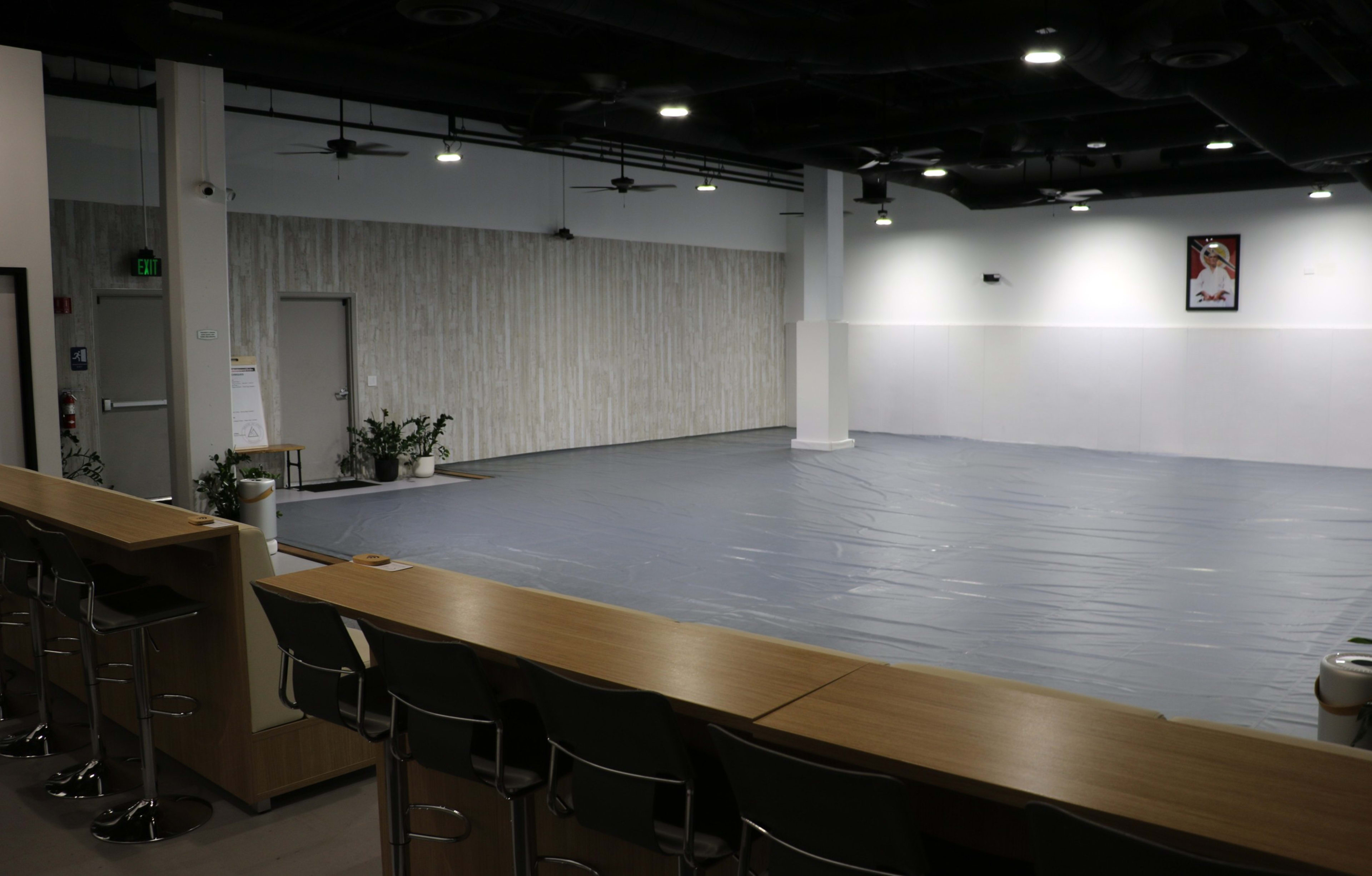 The image shows a spacious room with a gray floor covering, a bar-style seating area, and minimalist decor, including potted plants and wall art.