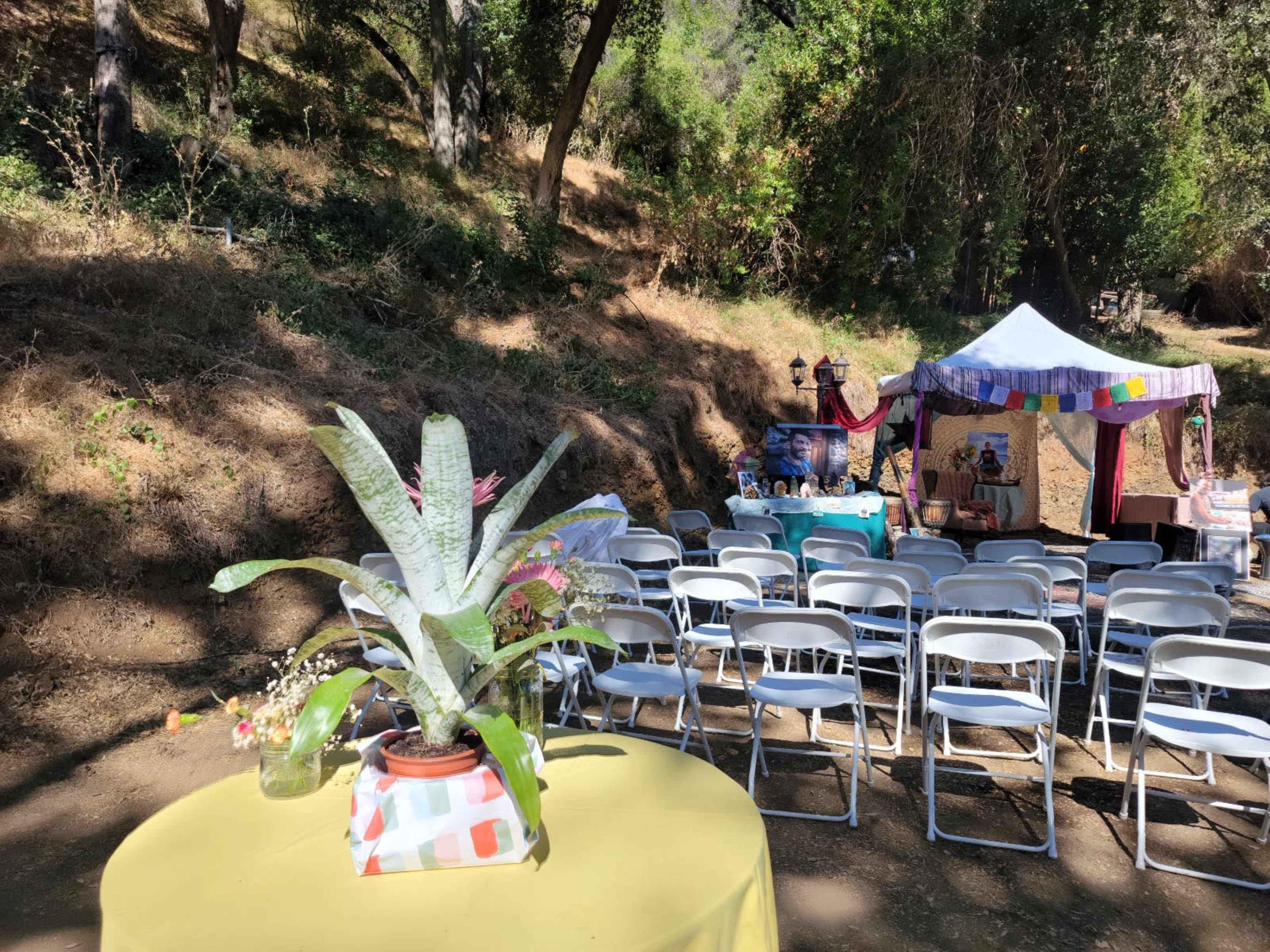 A shaded outdoor area features neatly arranged white chairs facing a decorated tent with vibrant tablecloths and floral arrangements on tables.
