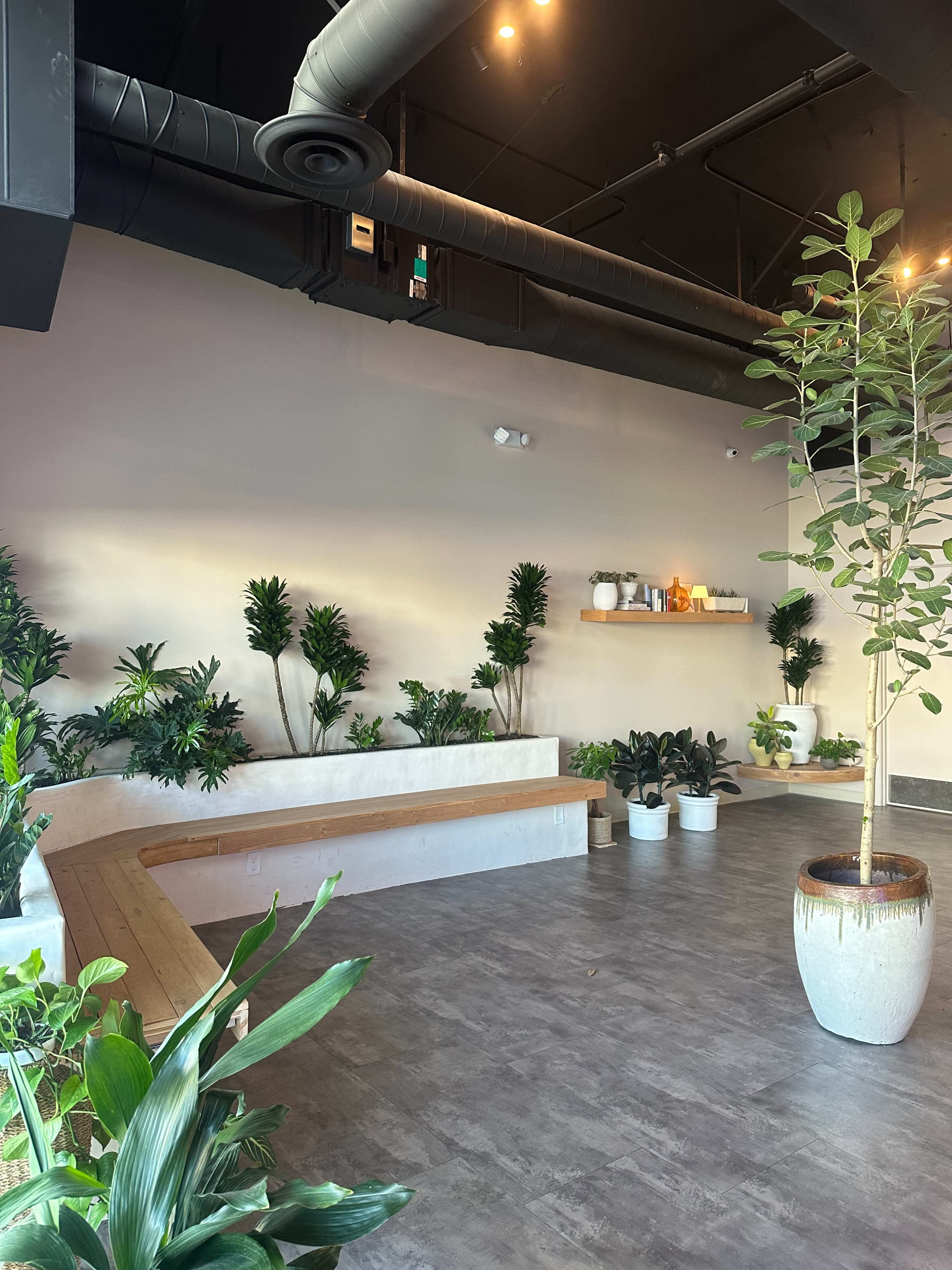 Lively West LA Yoga Studio Image in Sawtelle, Los Angeles, CA