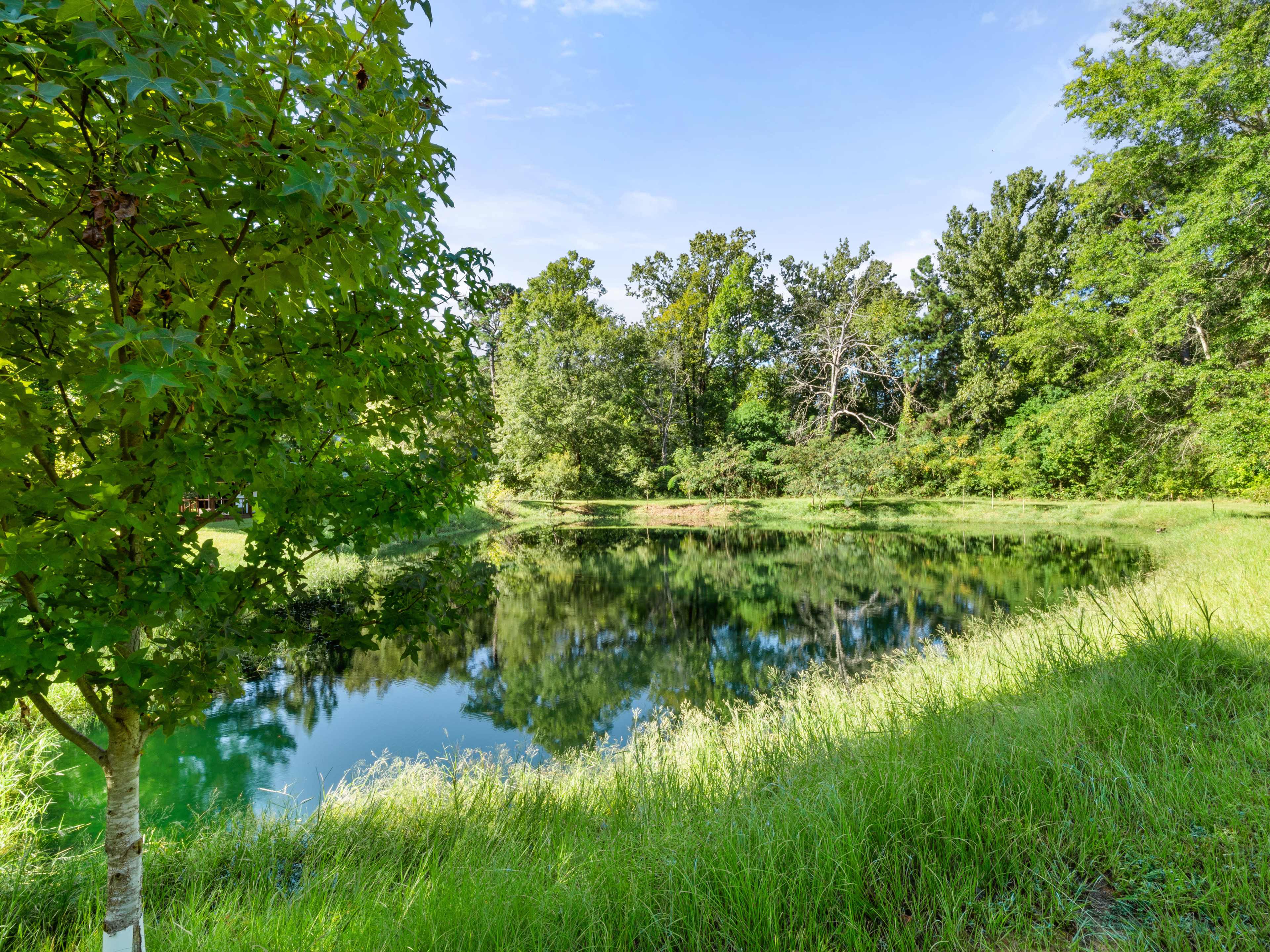 A calm pond reflects surrounding trees and grass under a clear sky.