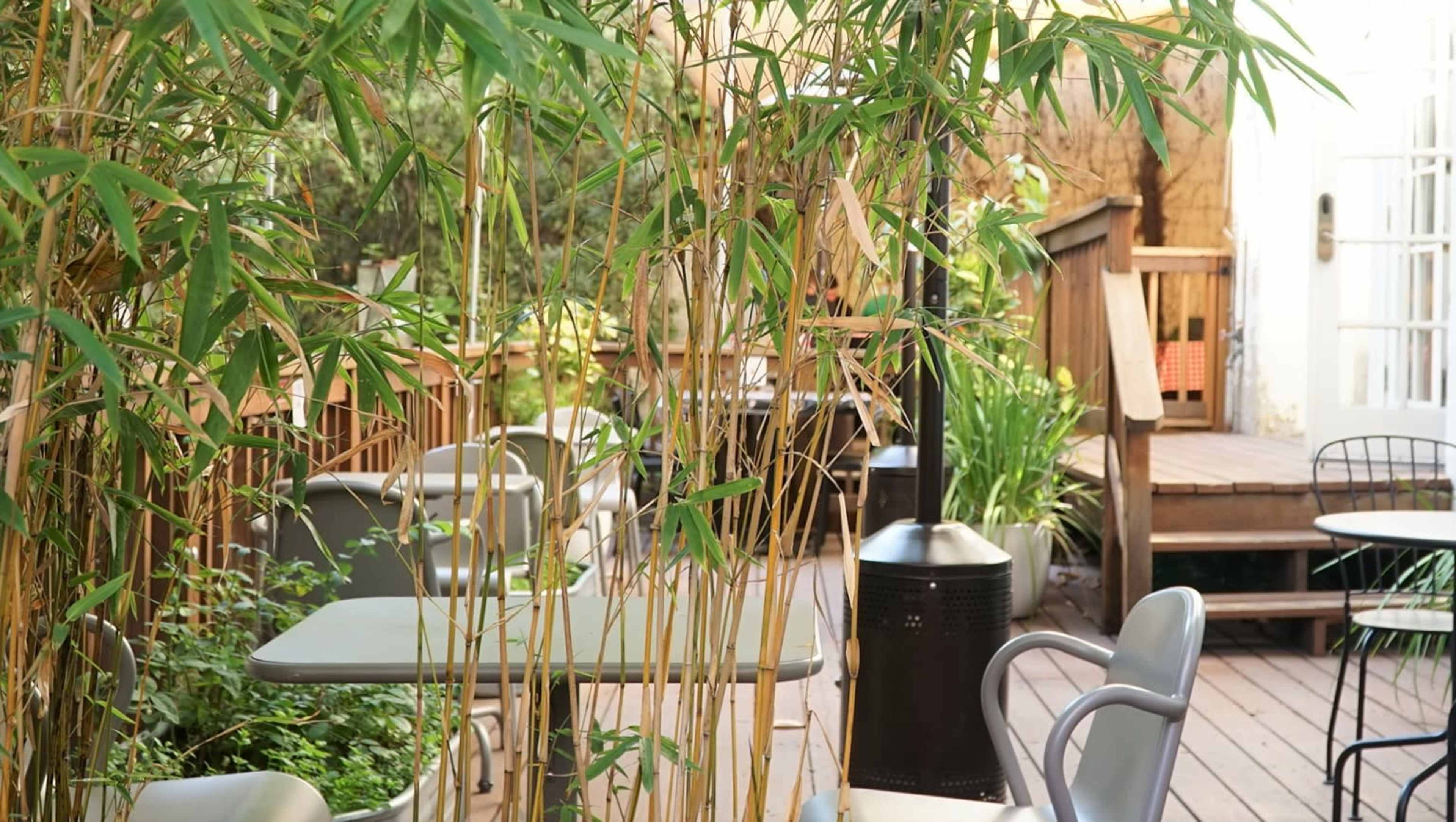 A bamboo plant frames empty outdoor tables and chairs on a wooden deck surrounded by greenery.