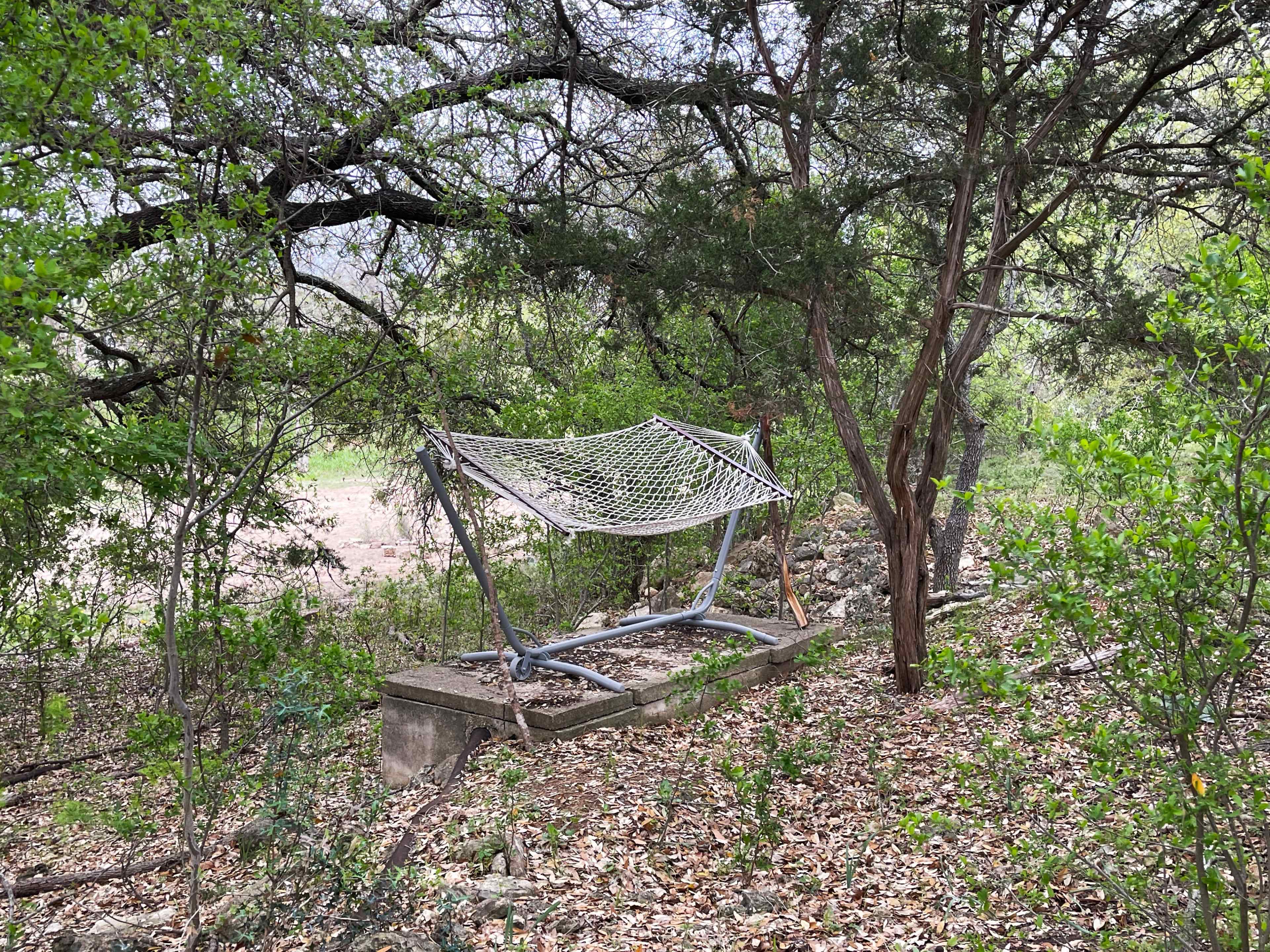 A weathered hammock hangs between trees on a concrete base in a wooded area.