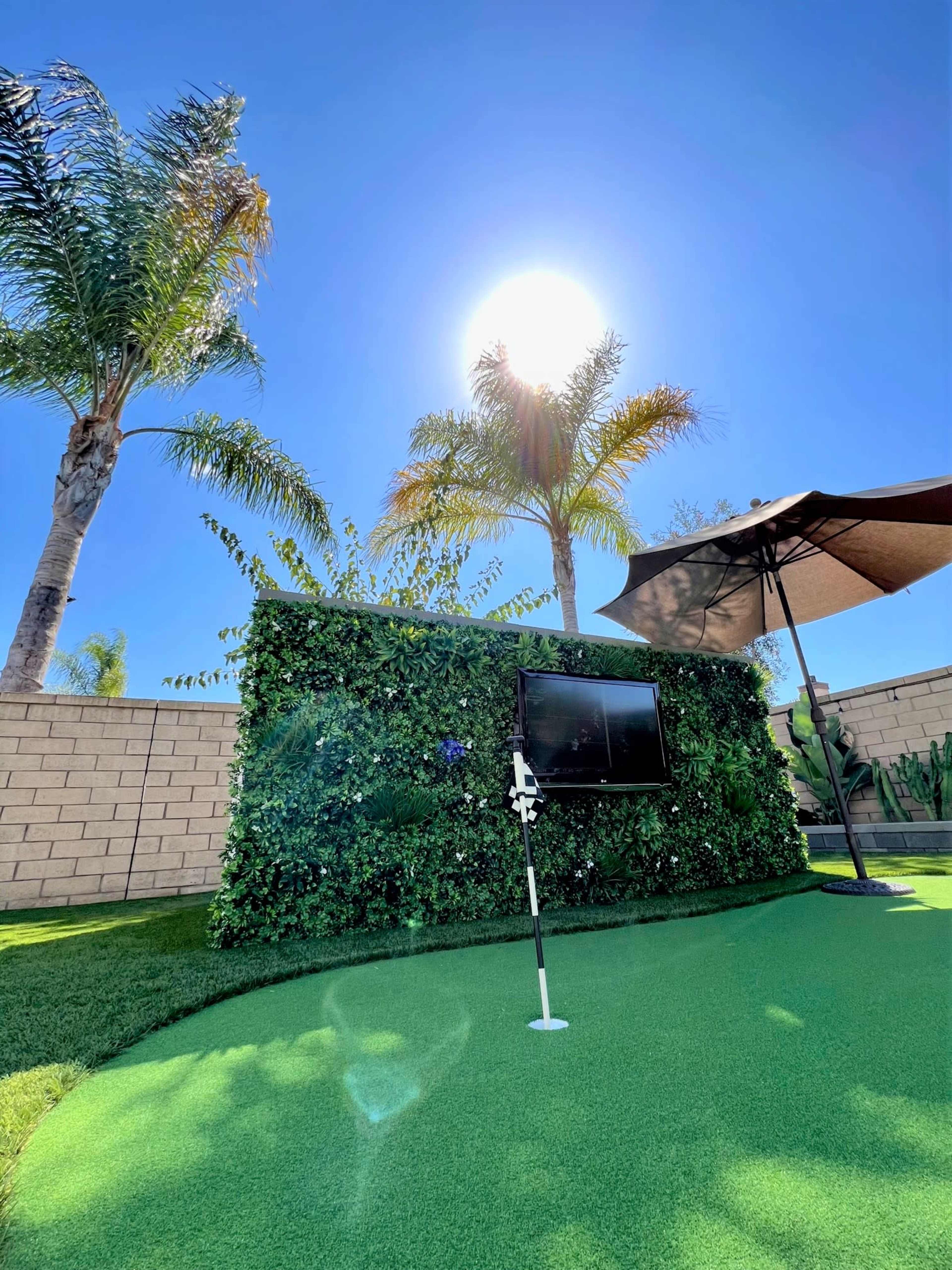 A small putting green with a wall of greenery and a television is set up under a sunlit sky and palm trees.