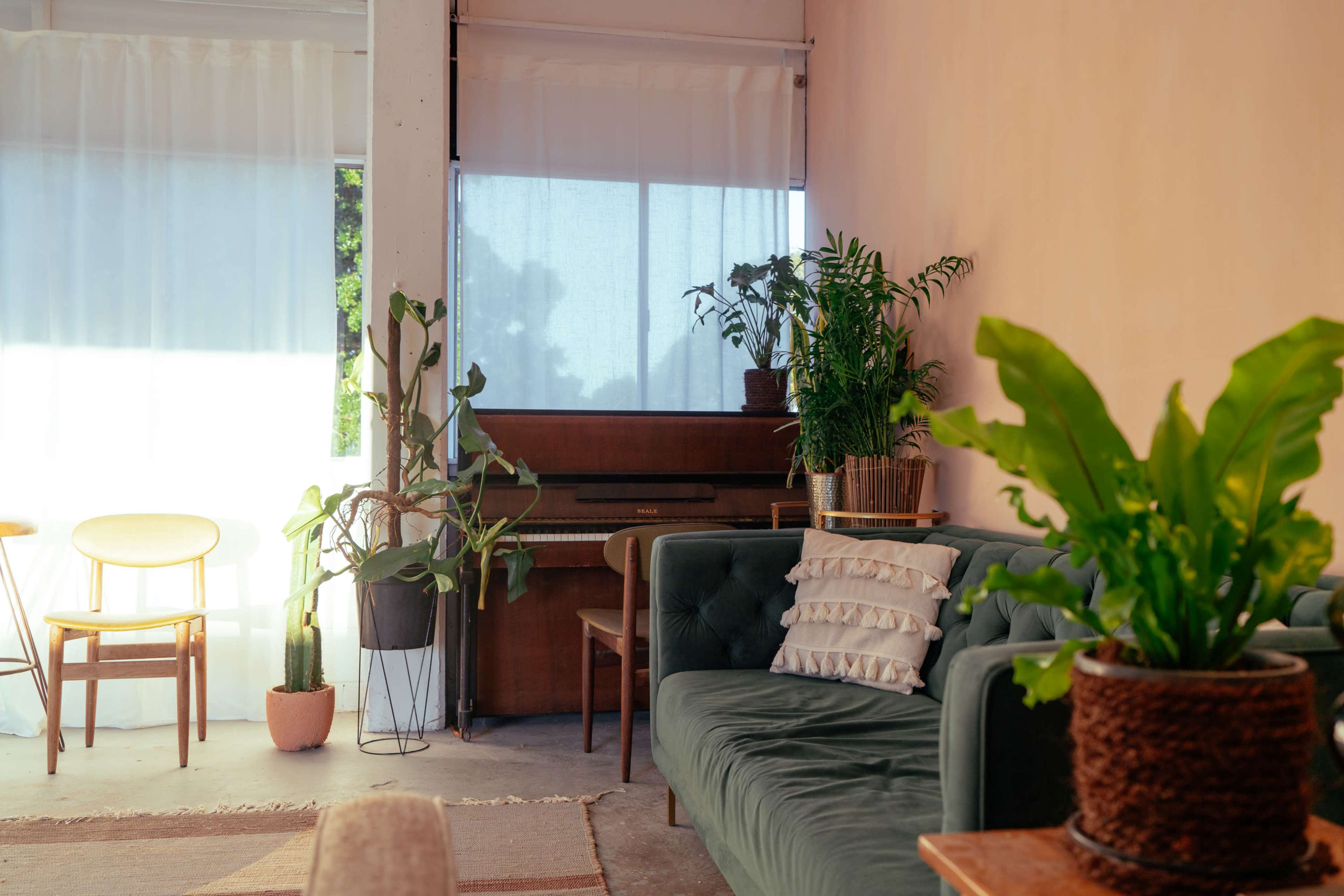 PHOTO / FILM STUDIO & WAREHOUSE Image in Balgowlah, Balgowlah, NSW