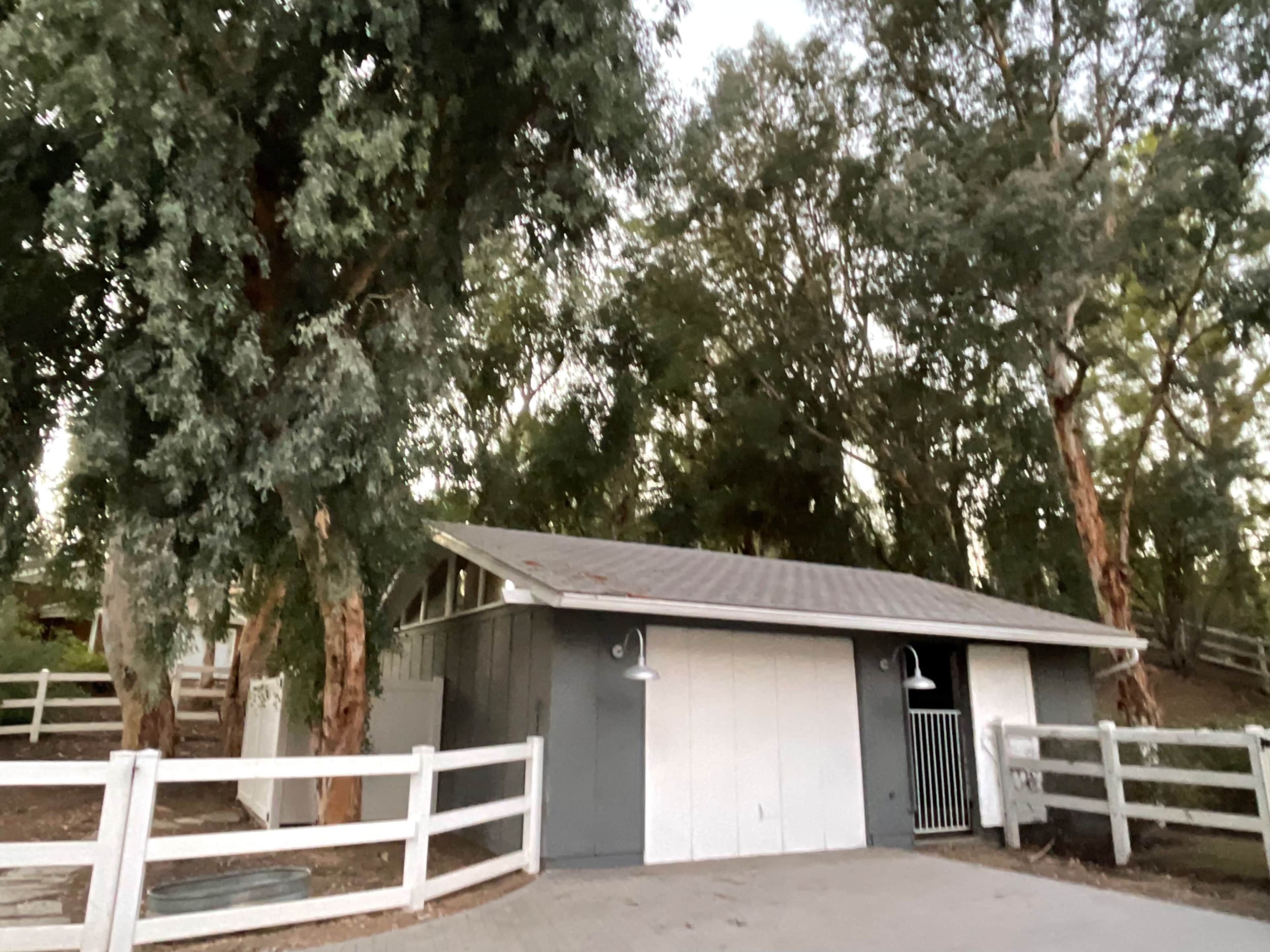 A gray building with white doors is surrounded by tall trees and a wooden fence.