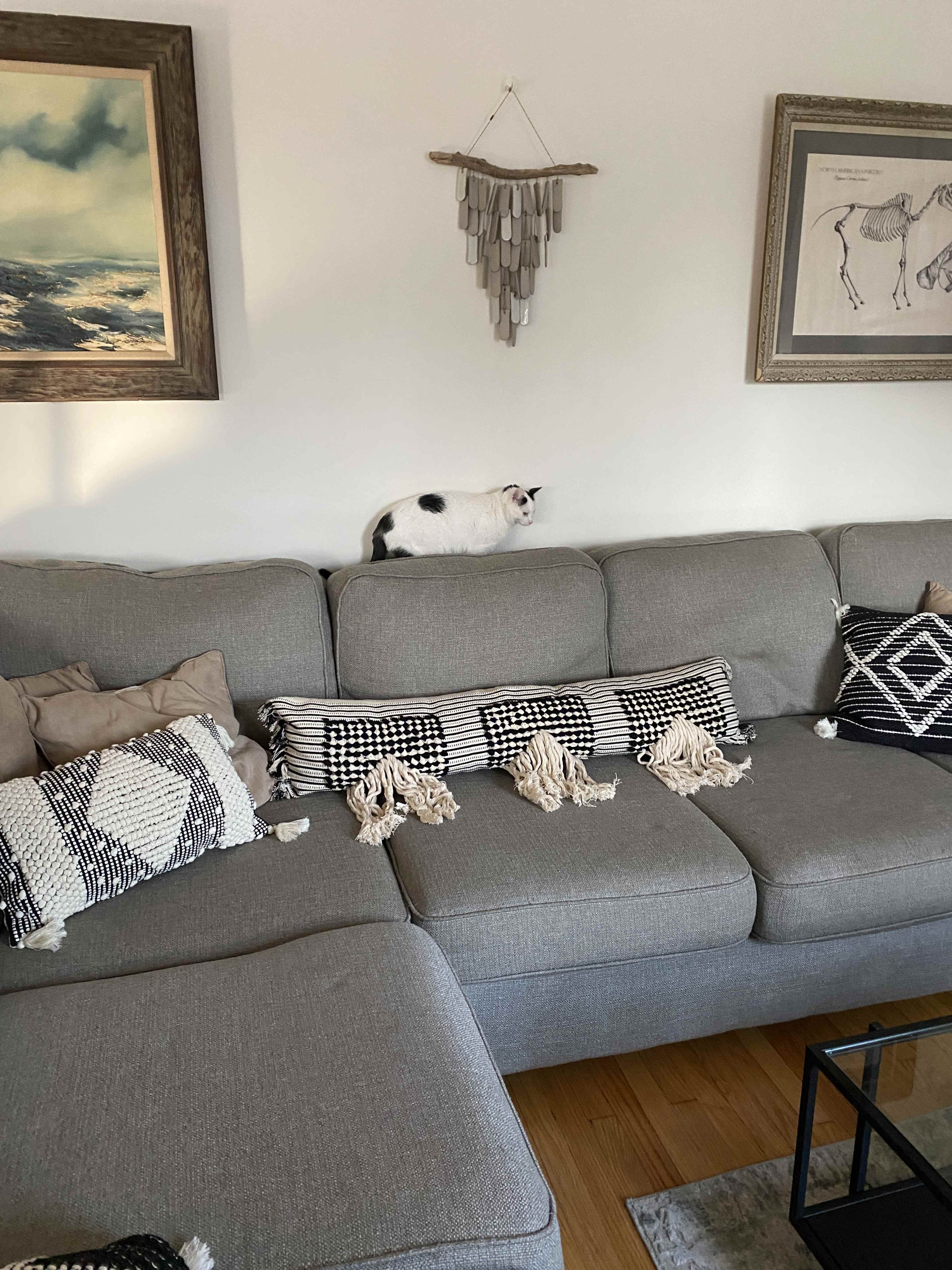 A cat is walking along the back of a gray sectional couch in a living room adorned with framed artwork and decorative pillows.
