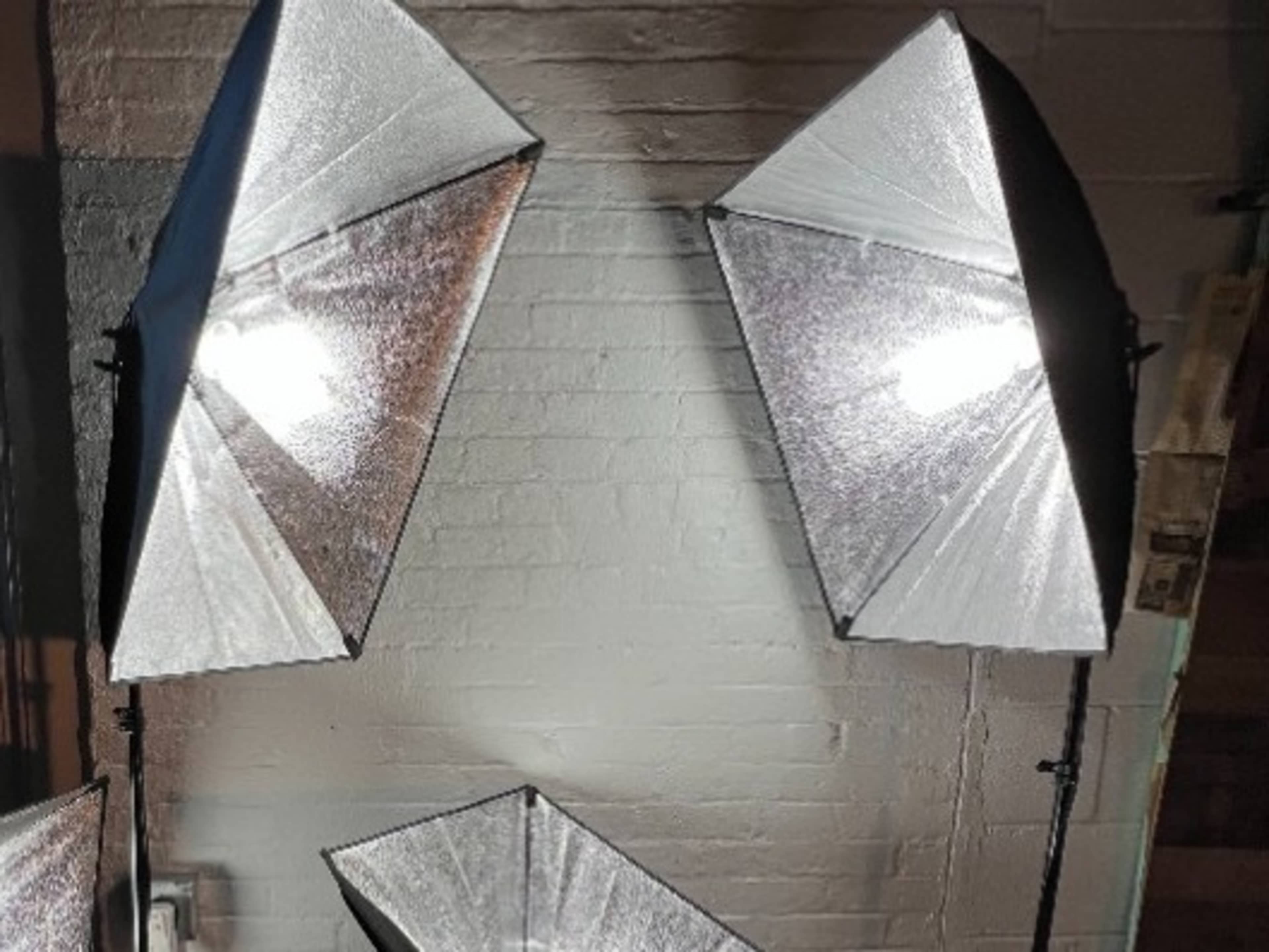 Fluorescent Constant Light