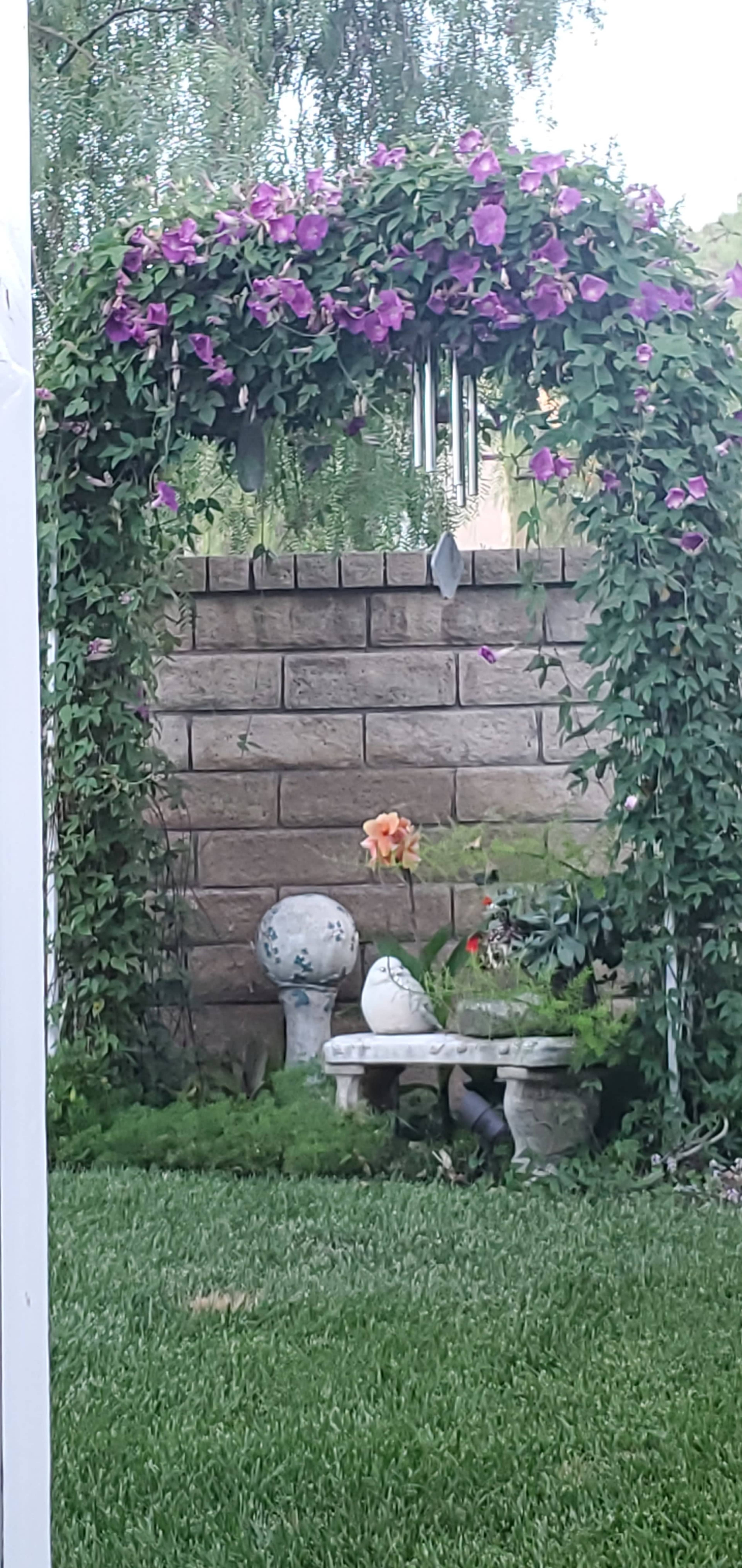 A trellis covered in purple flowers frames a small garden area with stone benches and ornamental pots against a textured wall.