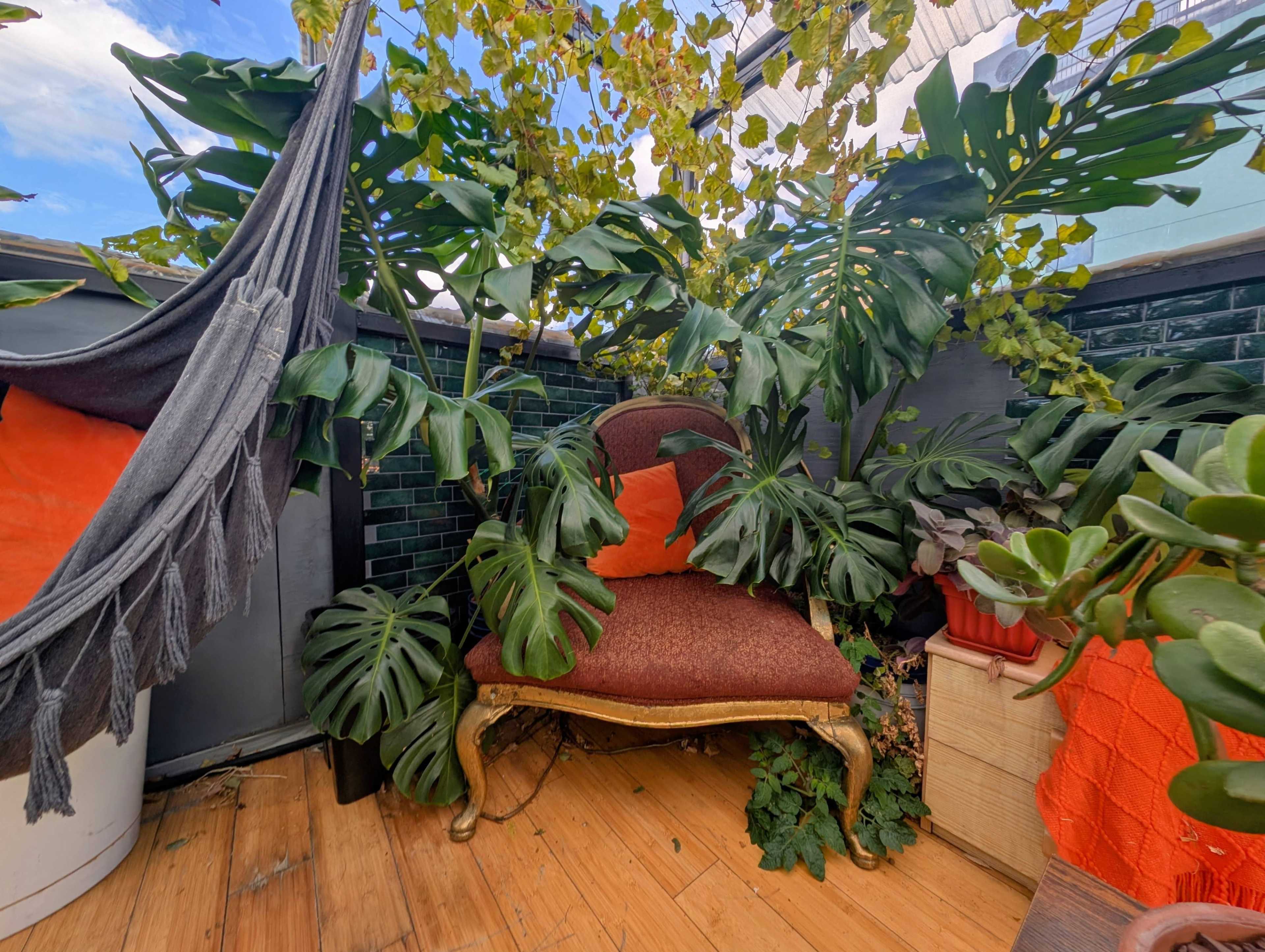 Plant Filled Rooftop Greenhouse with Hufflepuff Vibe and Church View Image in East Harlem, NEW YORK, NY