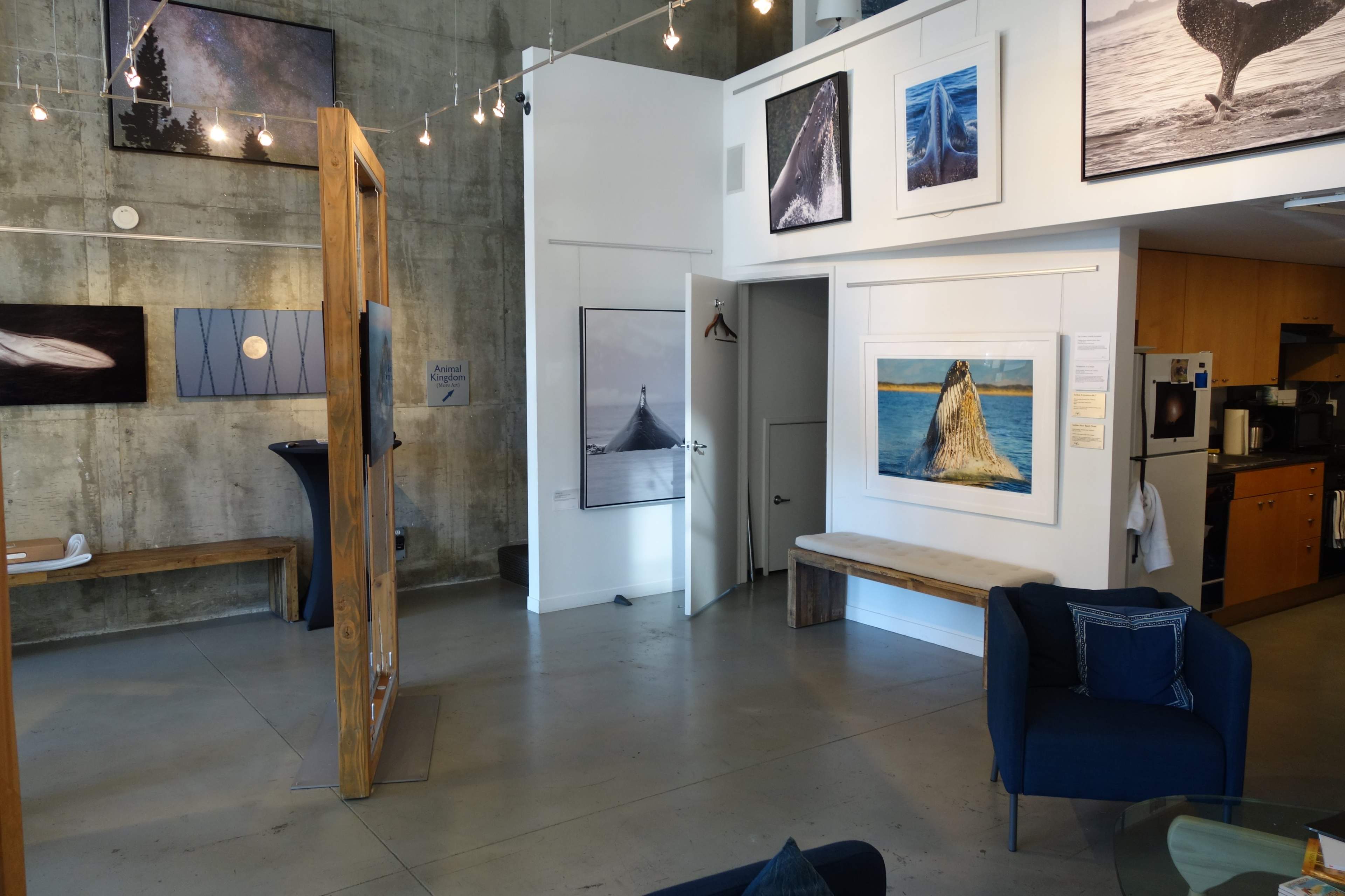 An art gallery with framed photographs on the walls, wooden benches, and a dark blue armchair in a room with concrete walls.