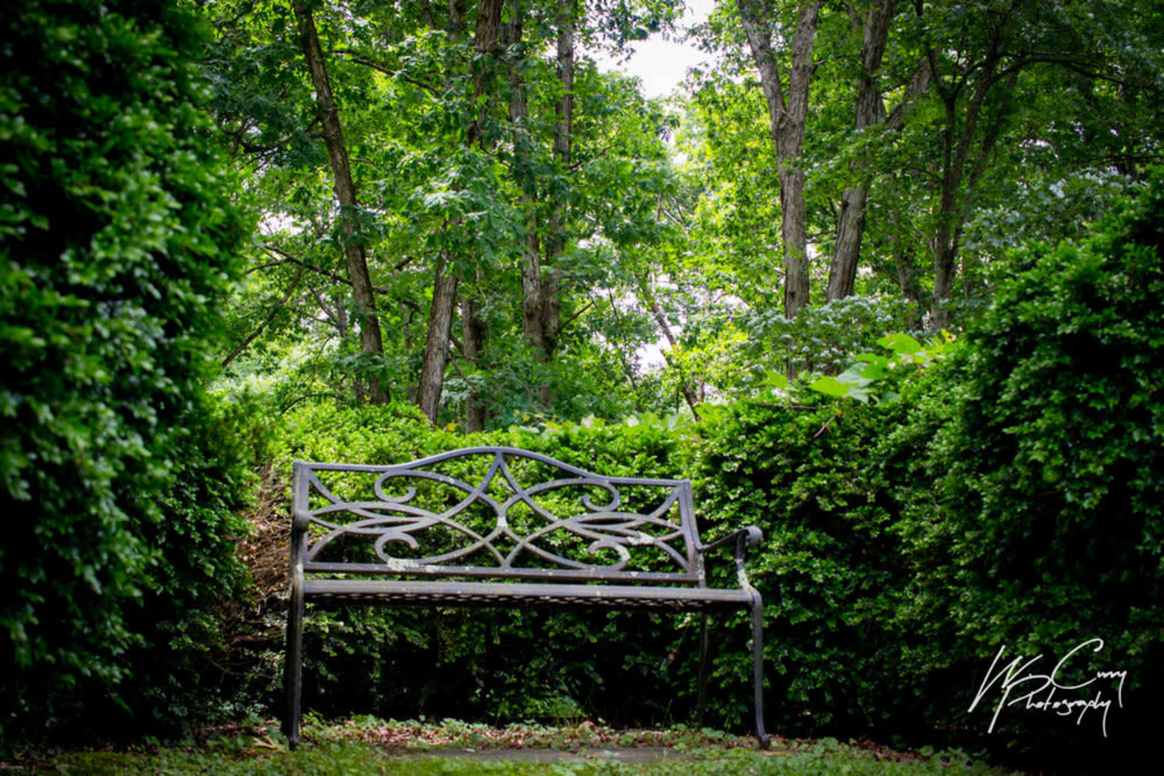 A metal bench is surrounded by lush greenery and neatly trimmed bushes in a tranquil garden setting.