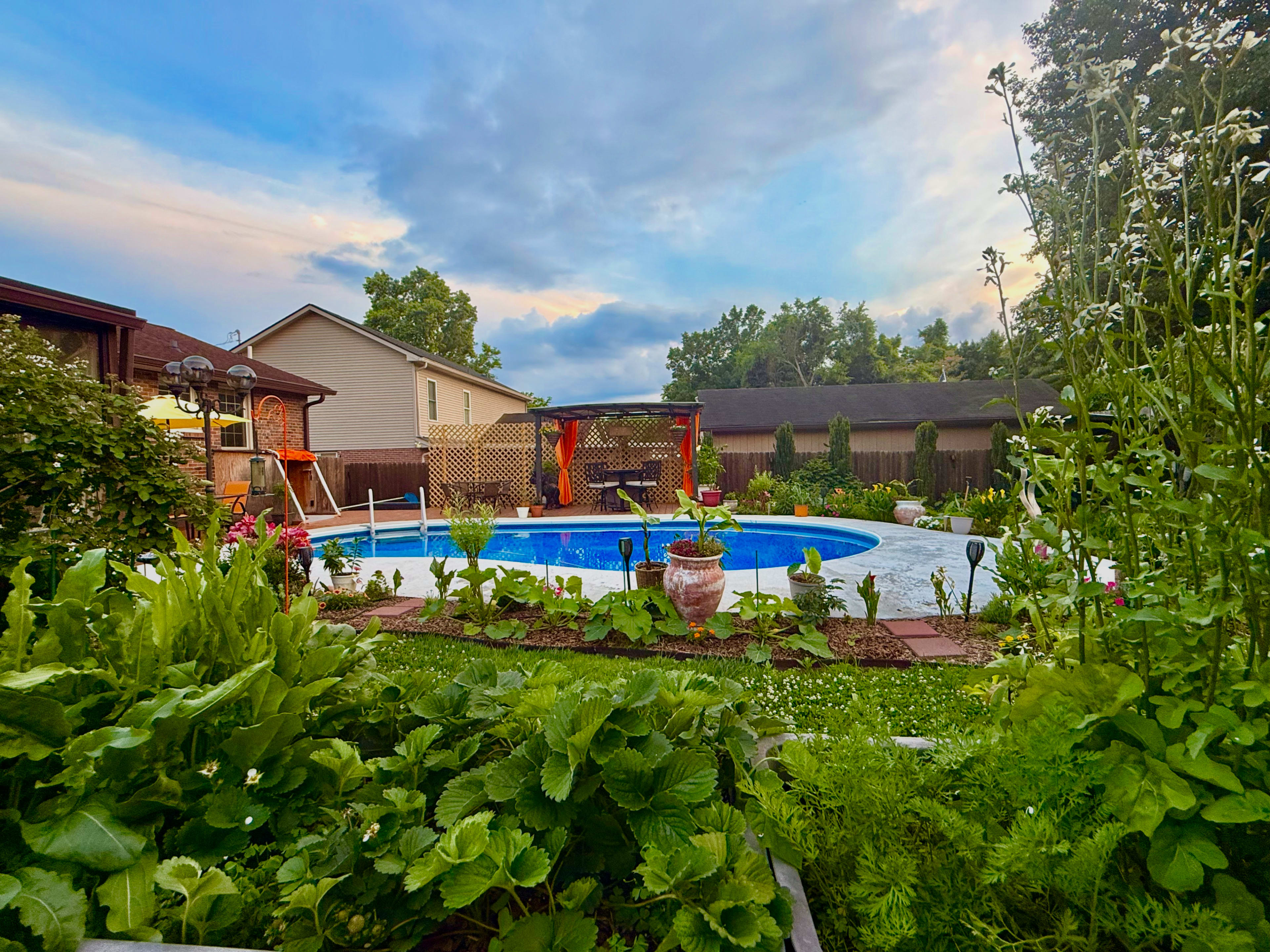 The image shows a backyard with a swimming pool surrounded by a garden filled with lush greenery and blooming flowers.