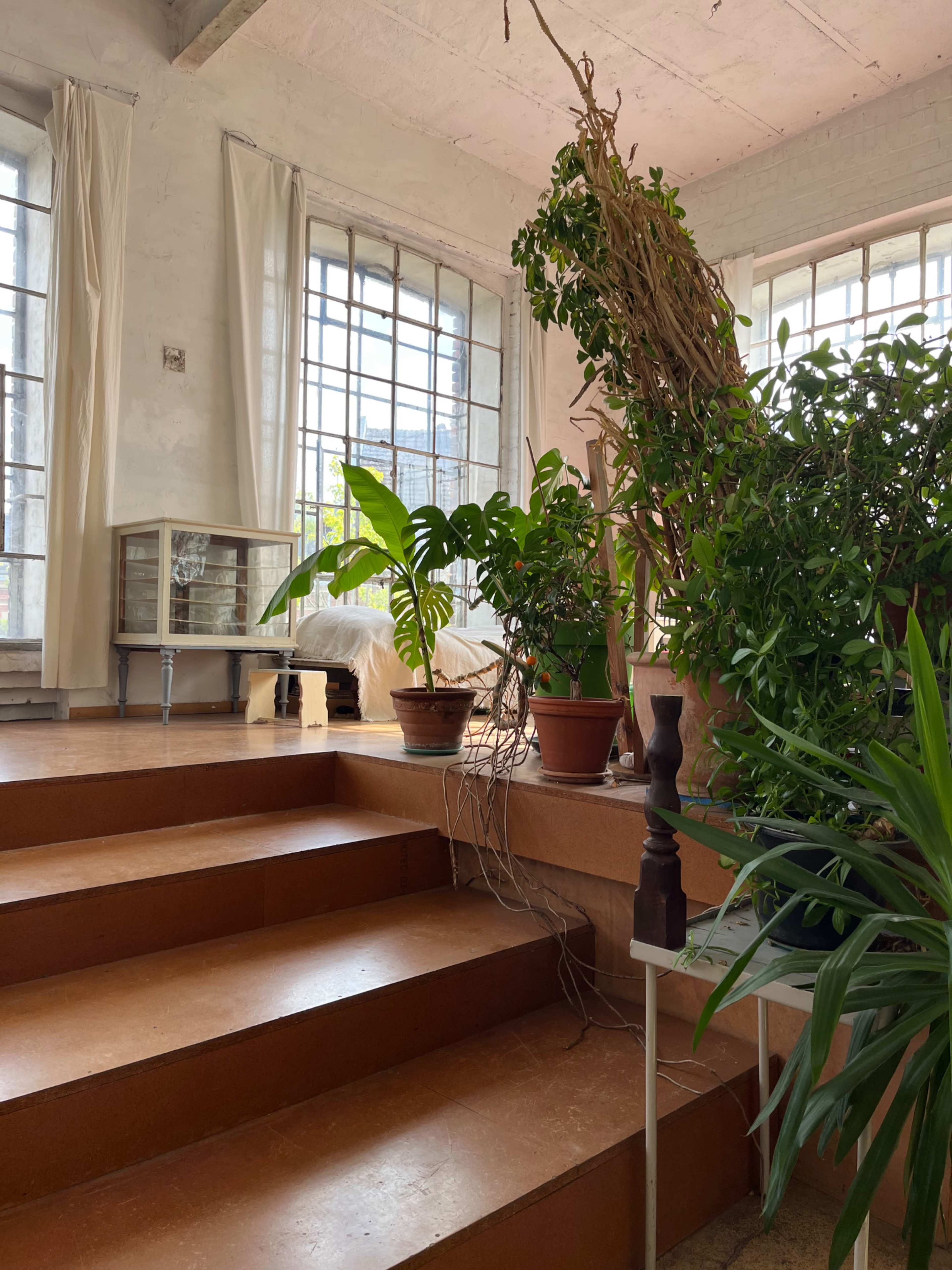 The image shows a well-lit interior space featuring multiple potted plants, a set of wooden stairs, and large windows allowing natural light to enter.