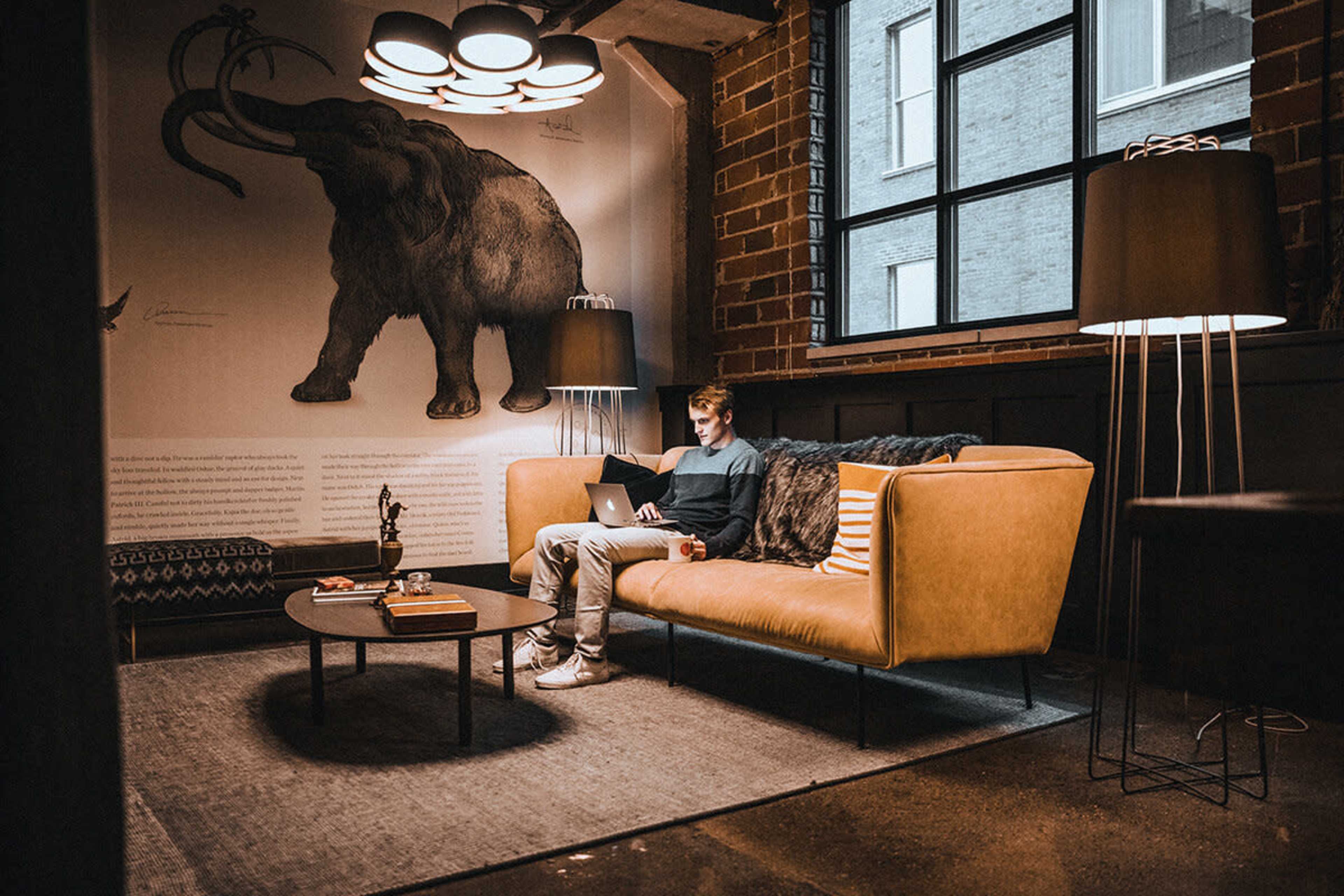 A person sits on a tan sofa in a modern room with exposed brick walls, working on a laptop next to a large mural of a mammoth.