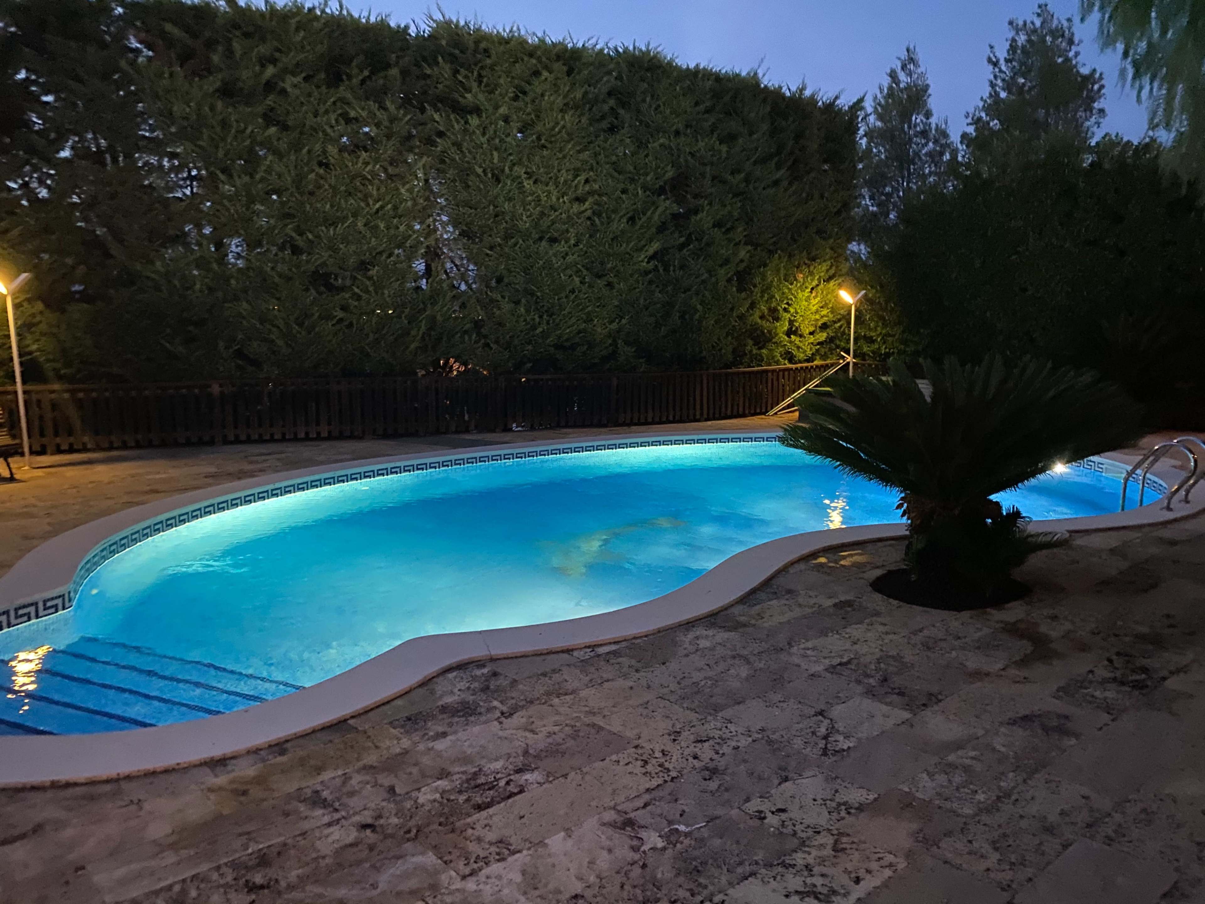 The image shows a well-lit swimming pool surrounded by lush greenery and illuminated by lights at dusk.