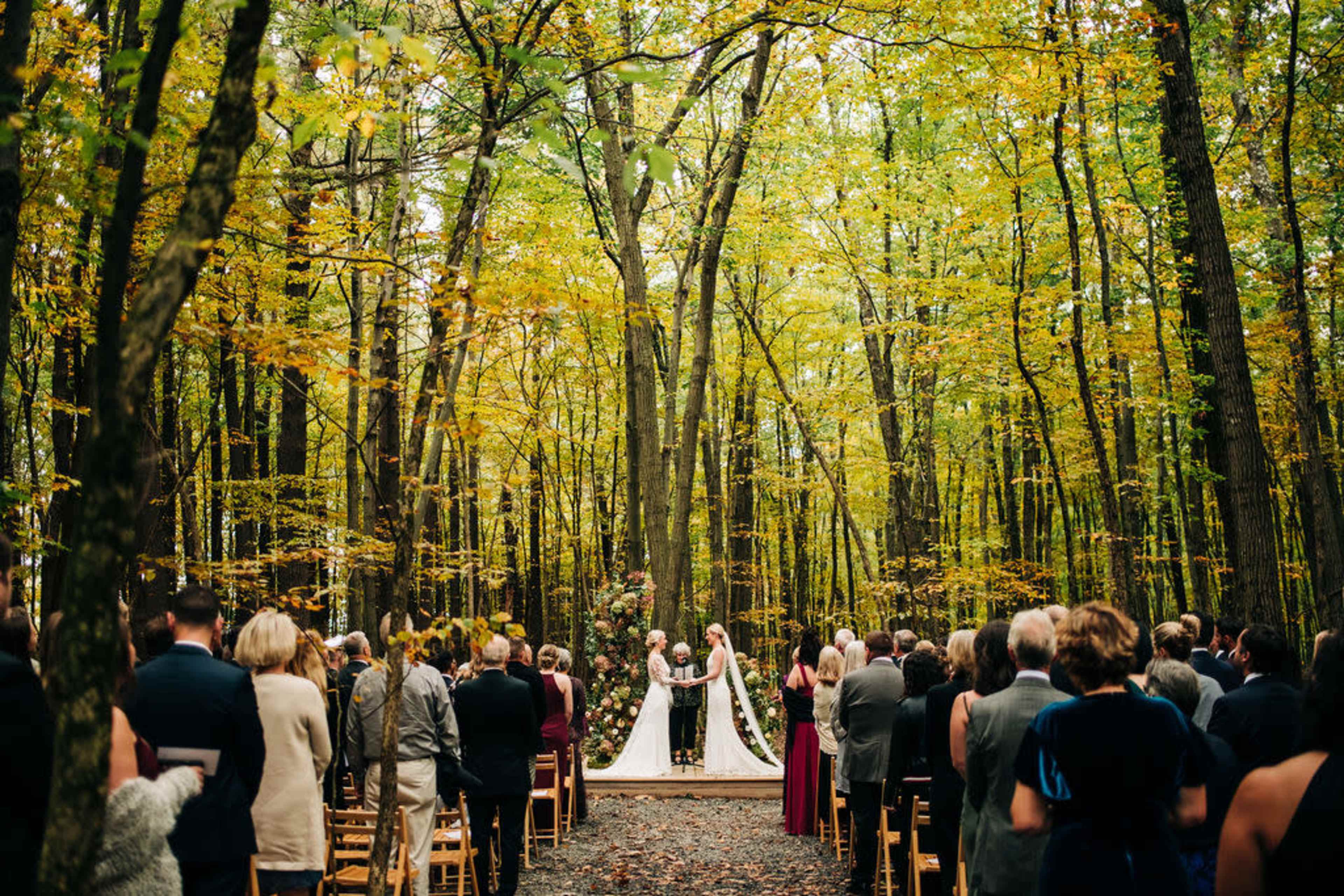 A couple is exchanging vows in a forest clearing surrounded by guests seated on wooden chairs.
