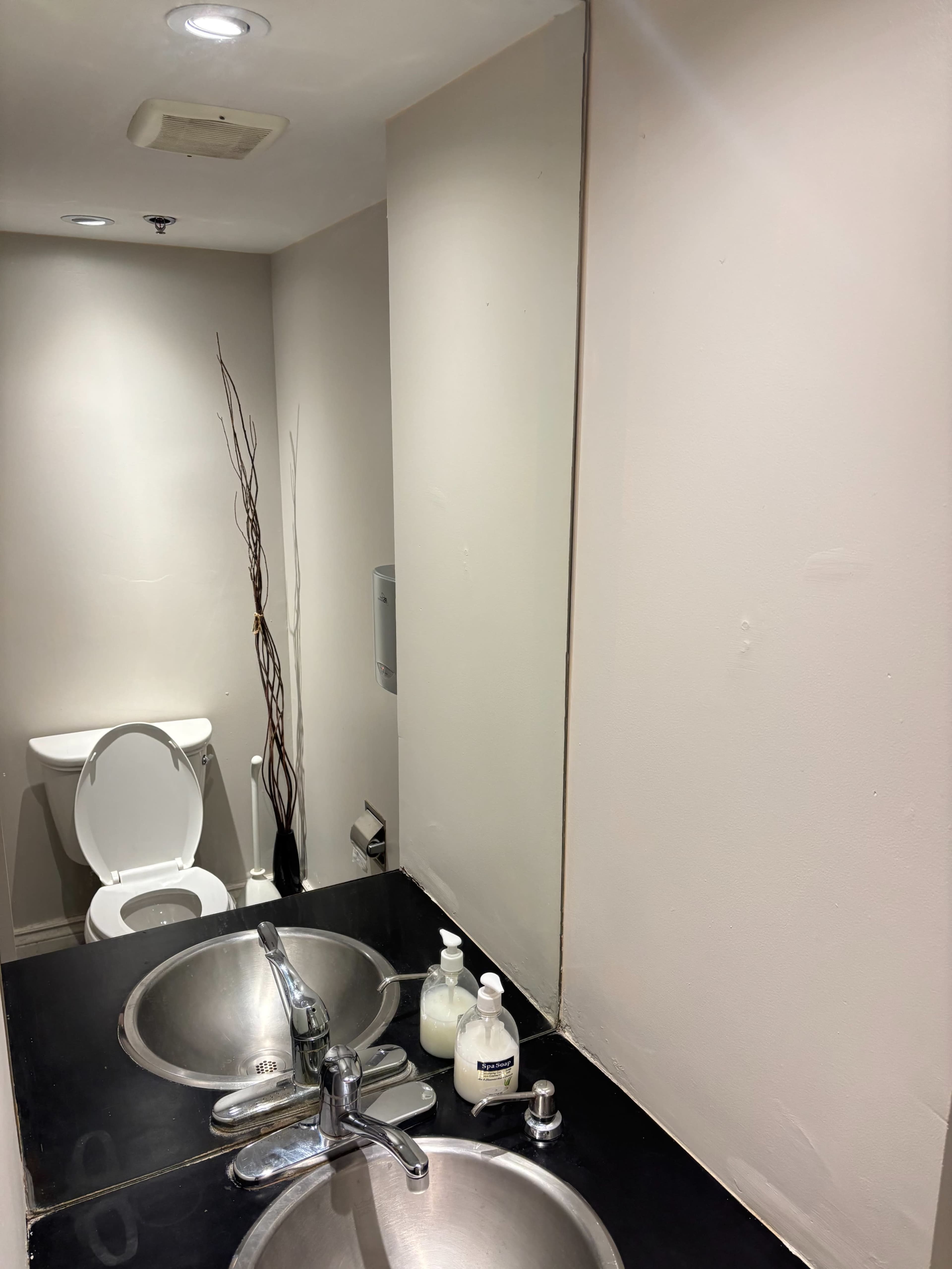 The image shows a bathroom with a toilet, a black countertop featuring two sinks, and a decorative branch in a vase.