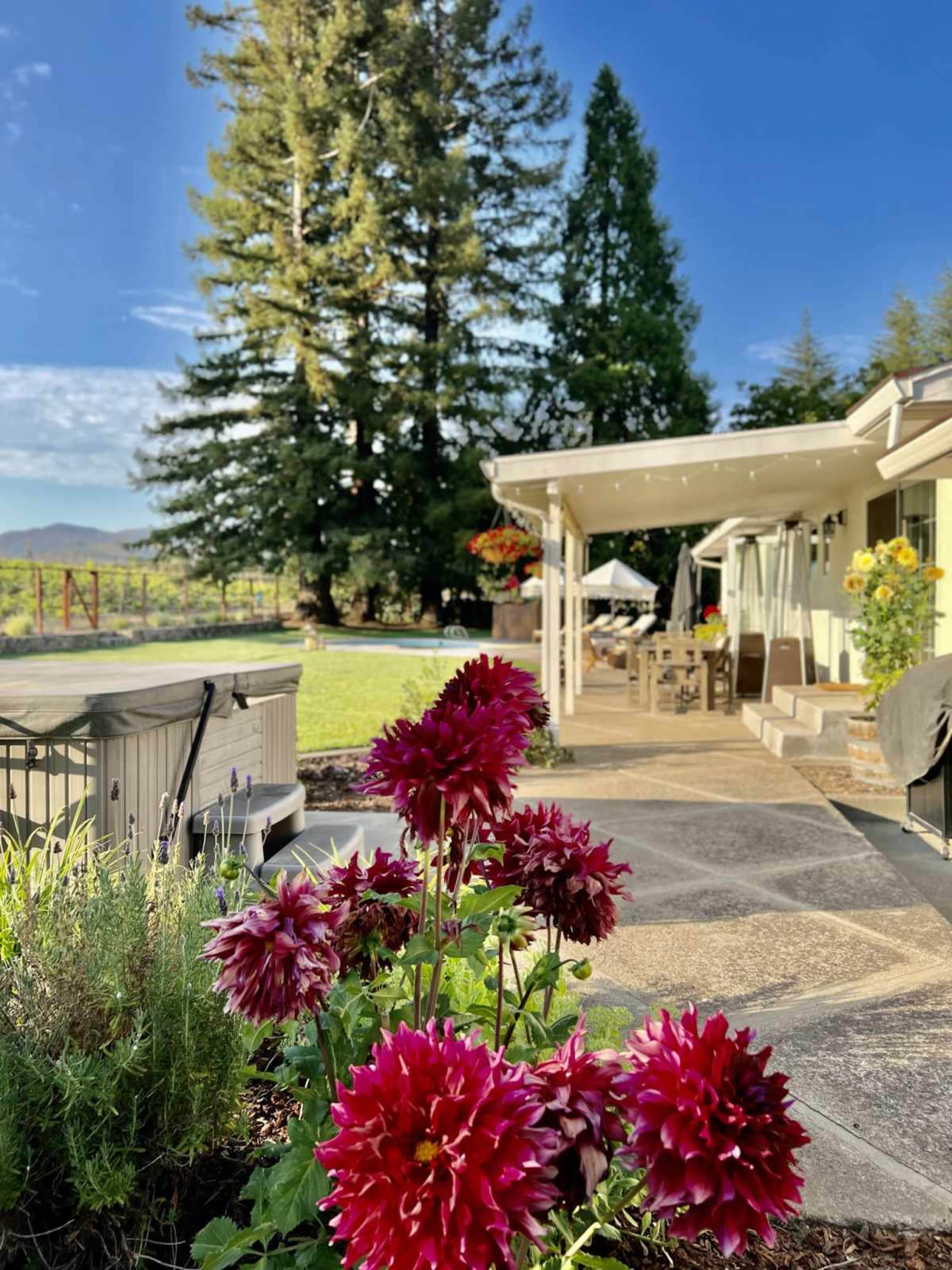 Napa Valley Vineyard Home with Pool and Hot Tub on 1/2 acre Image in , Napa, CA