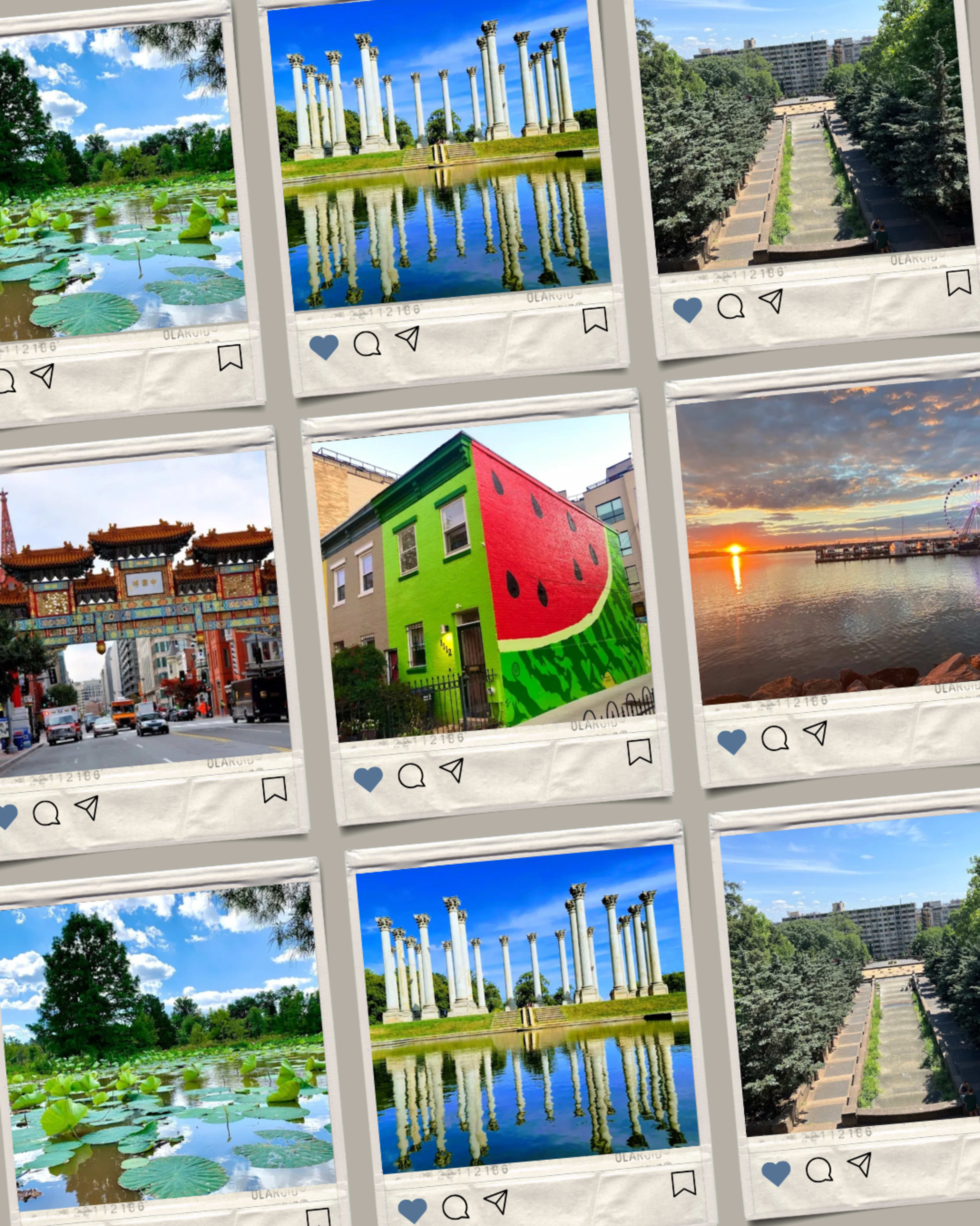 DMV Home with a Zen and Modern Feel Image in Coral Hills, Capitol Heights, MD