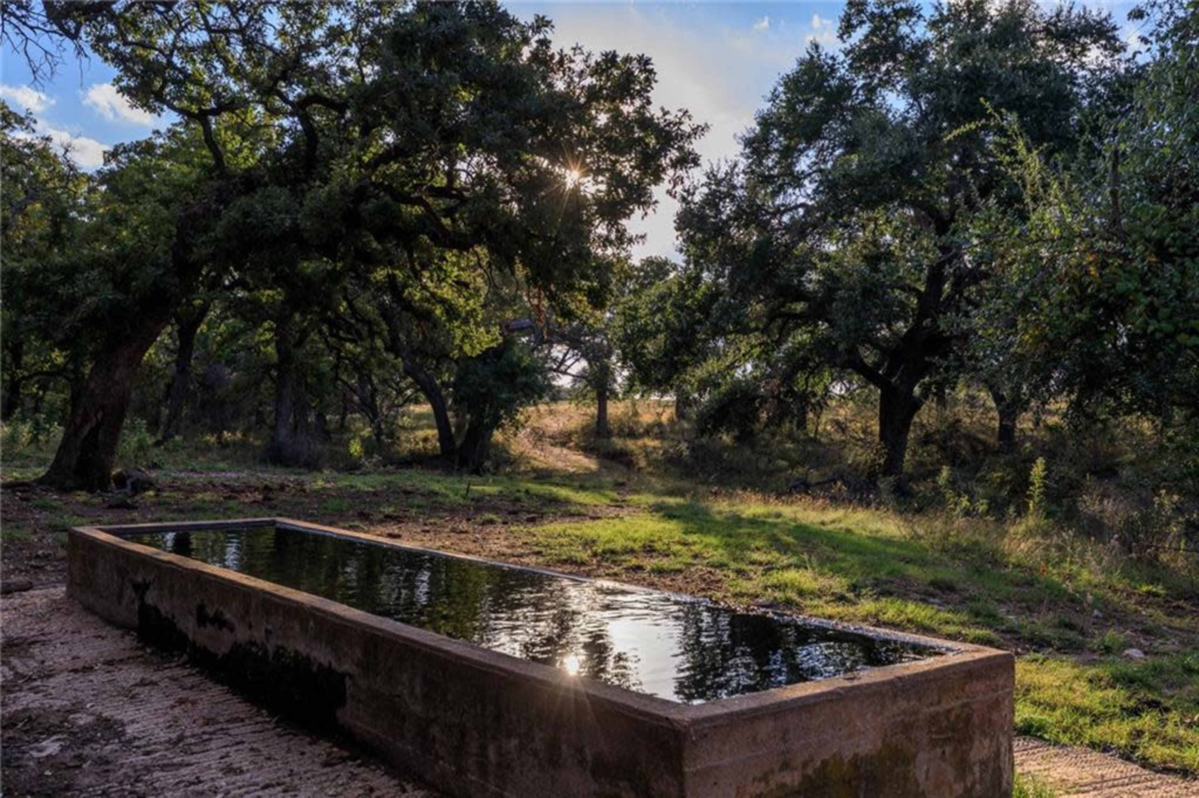 A rectangular water trough sits on a grassy area surrounded by trees, with sunlight filtering through the branches in the background.