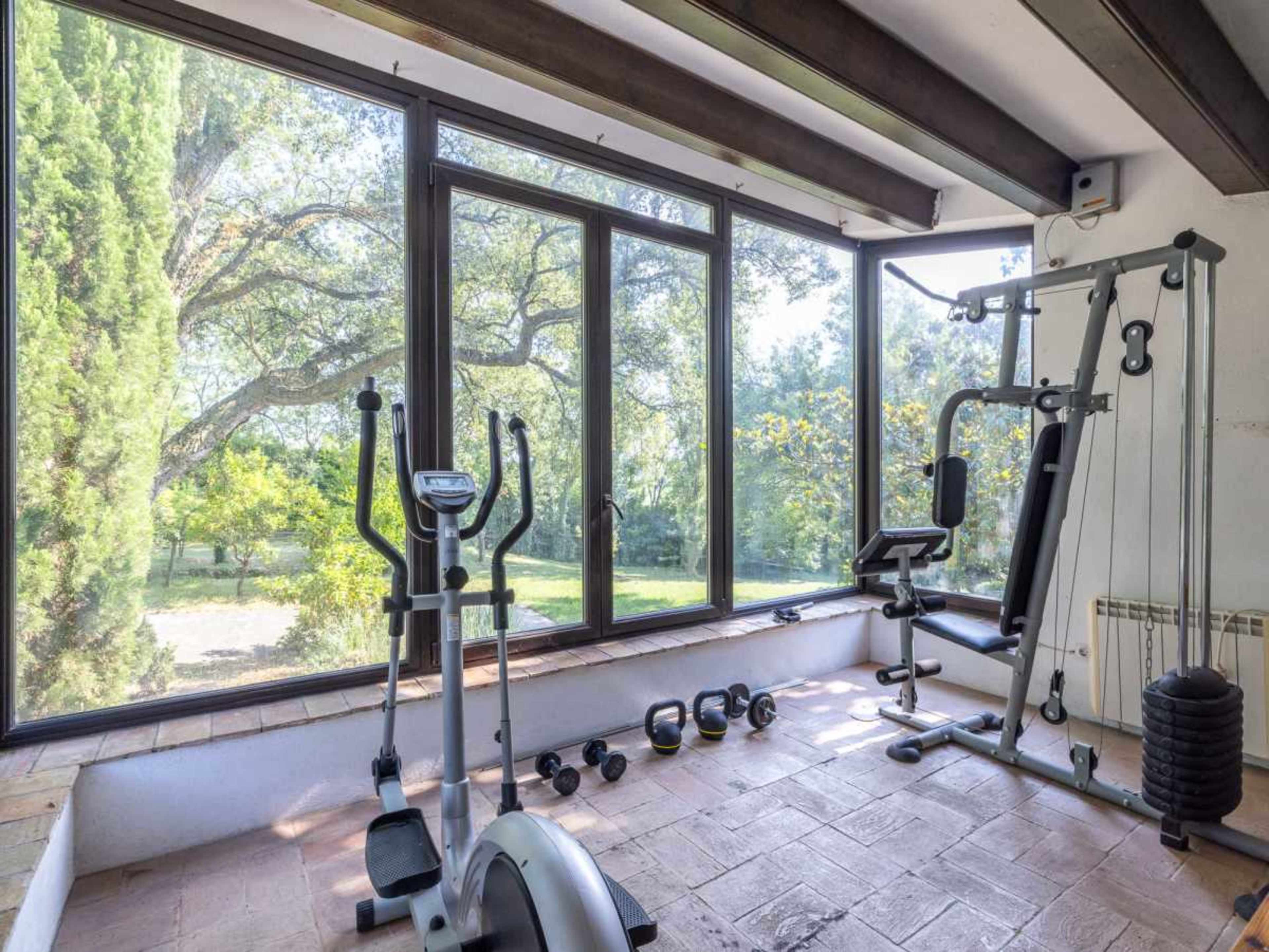 A home gym is set up in a sunlit room with large windows overlooking greenery, featuring exercise equipment such as a stationary bike, weights, and a multi-gym station.